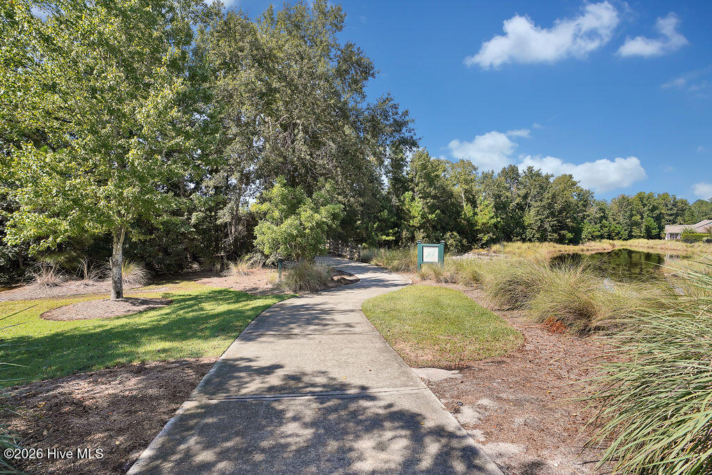 100565235 | Photo 151