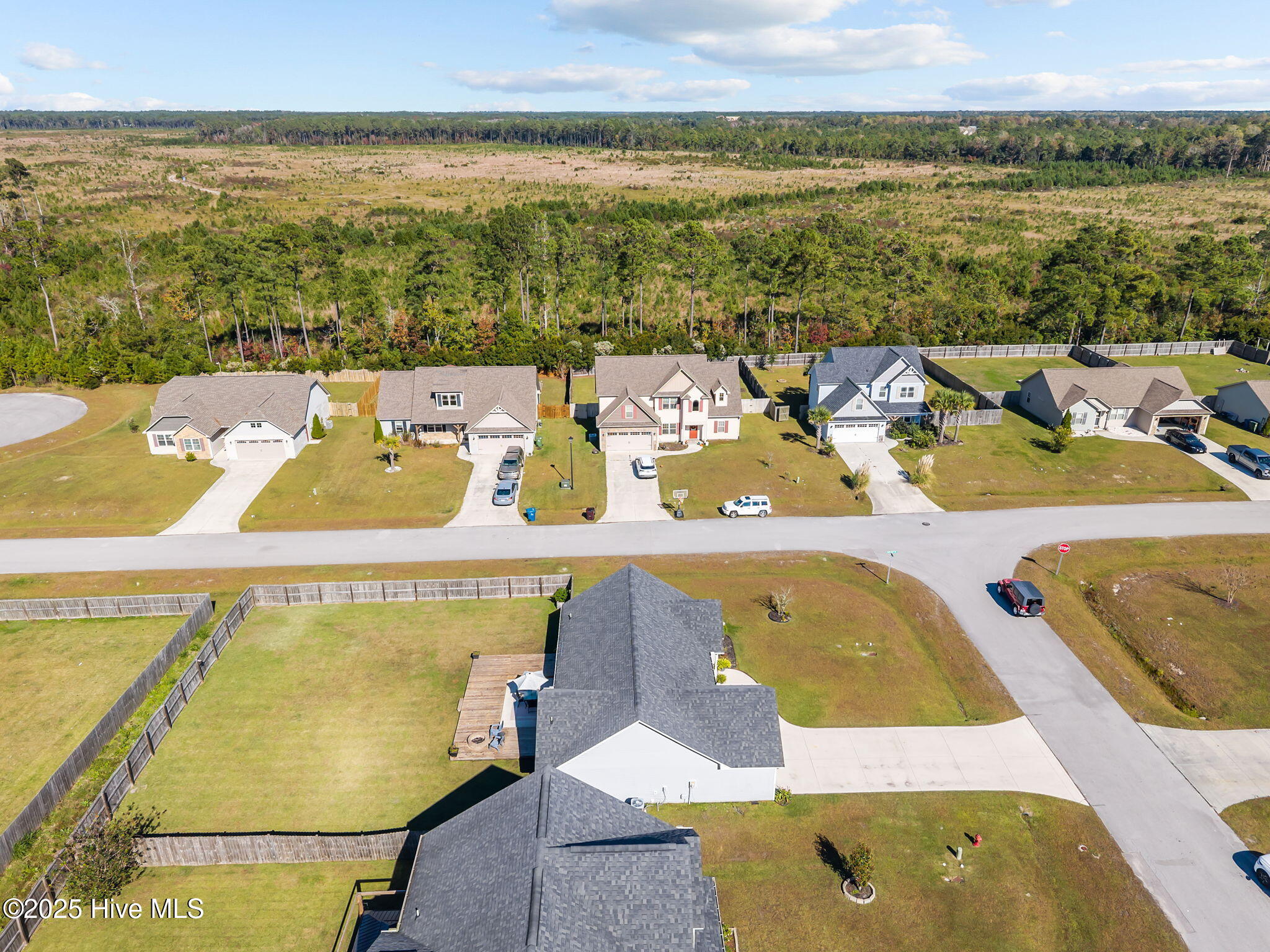 100537004 | Photo 47