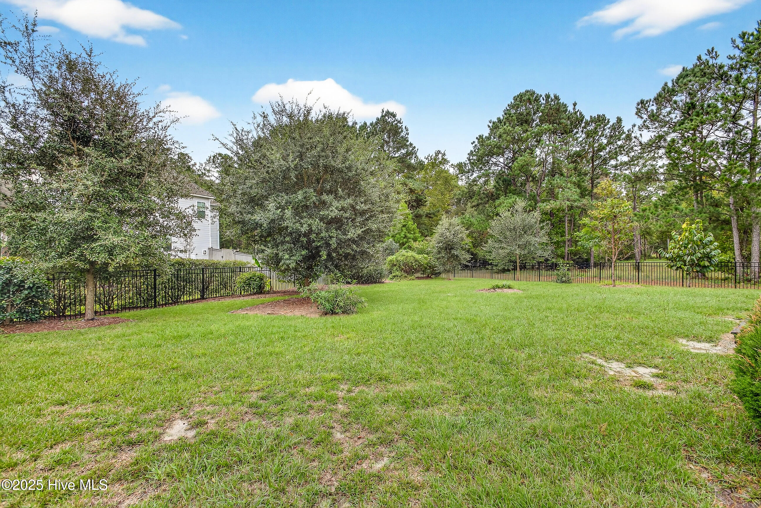 100534677 | Photo 54