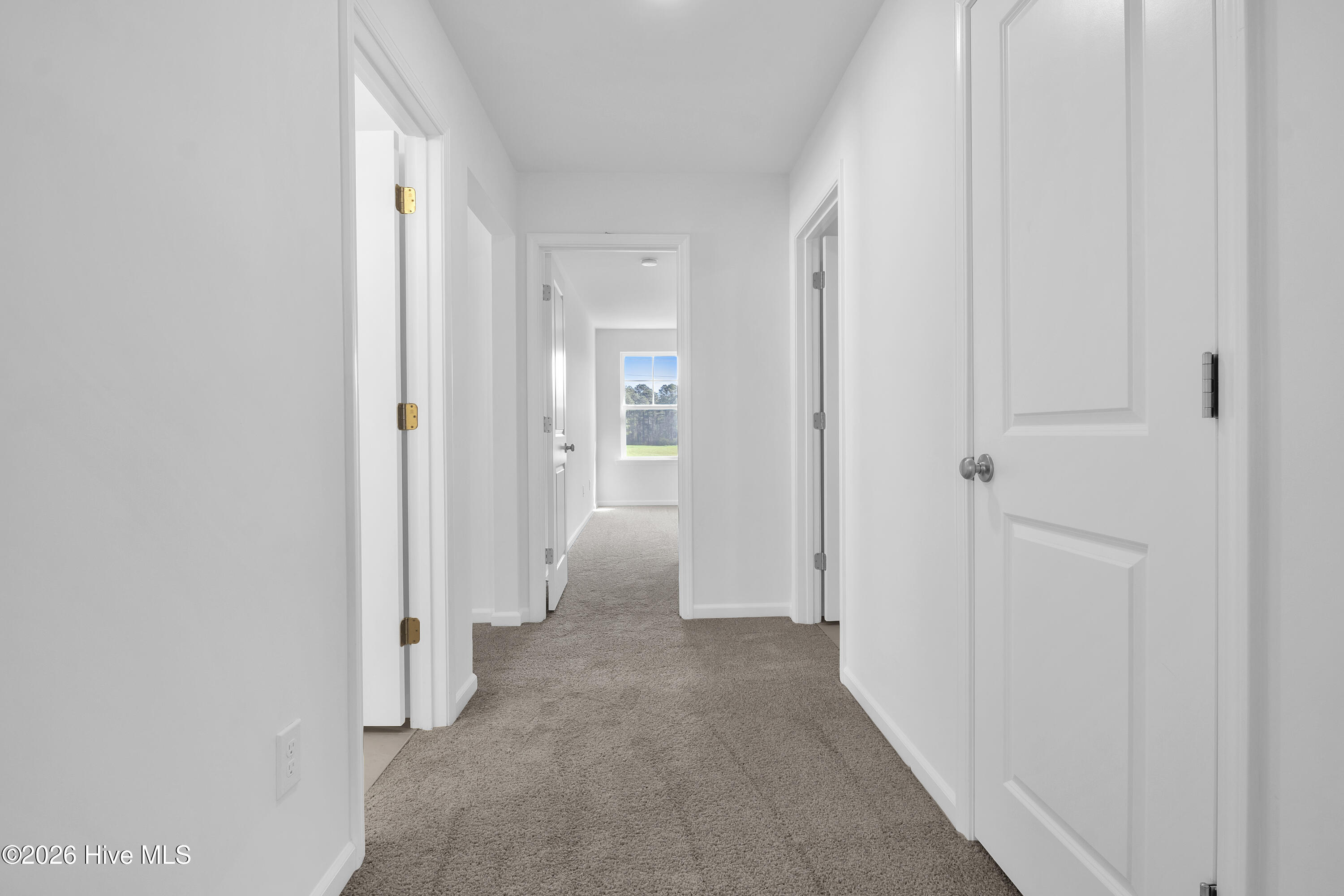 100563590 | Photo 45