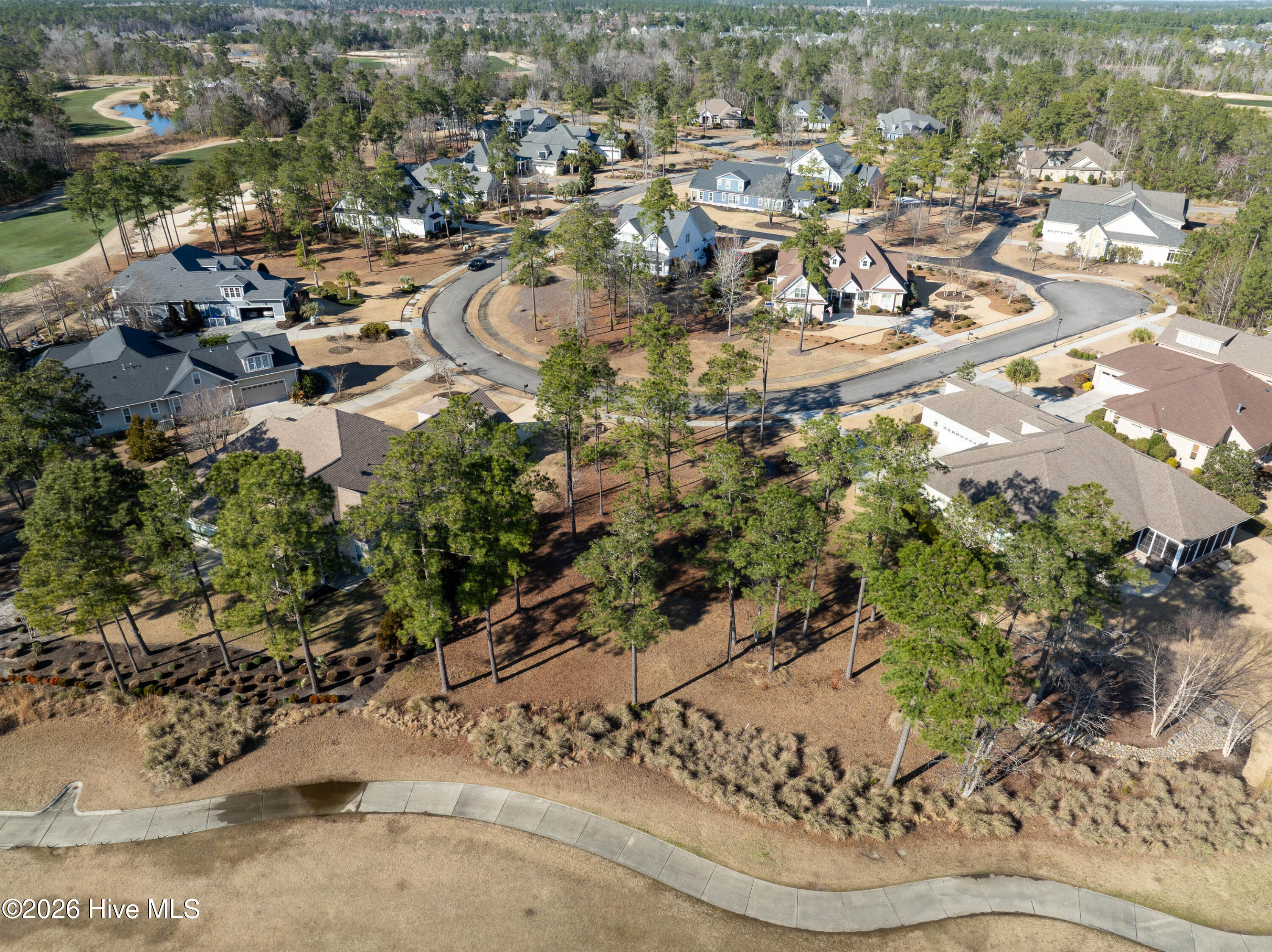 100557146 | Photo 11