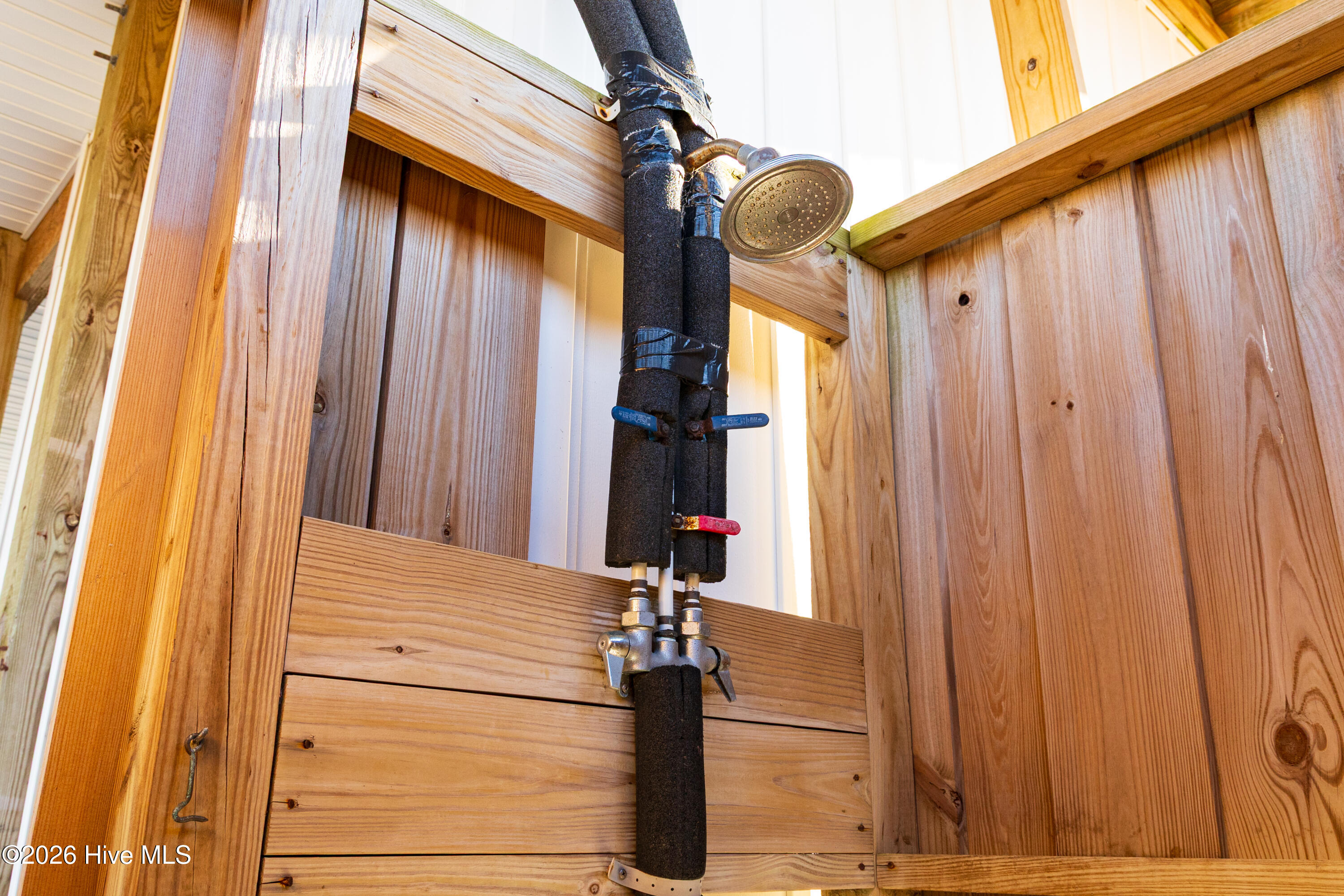 100559120 | Photo 35