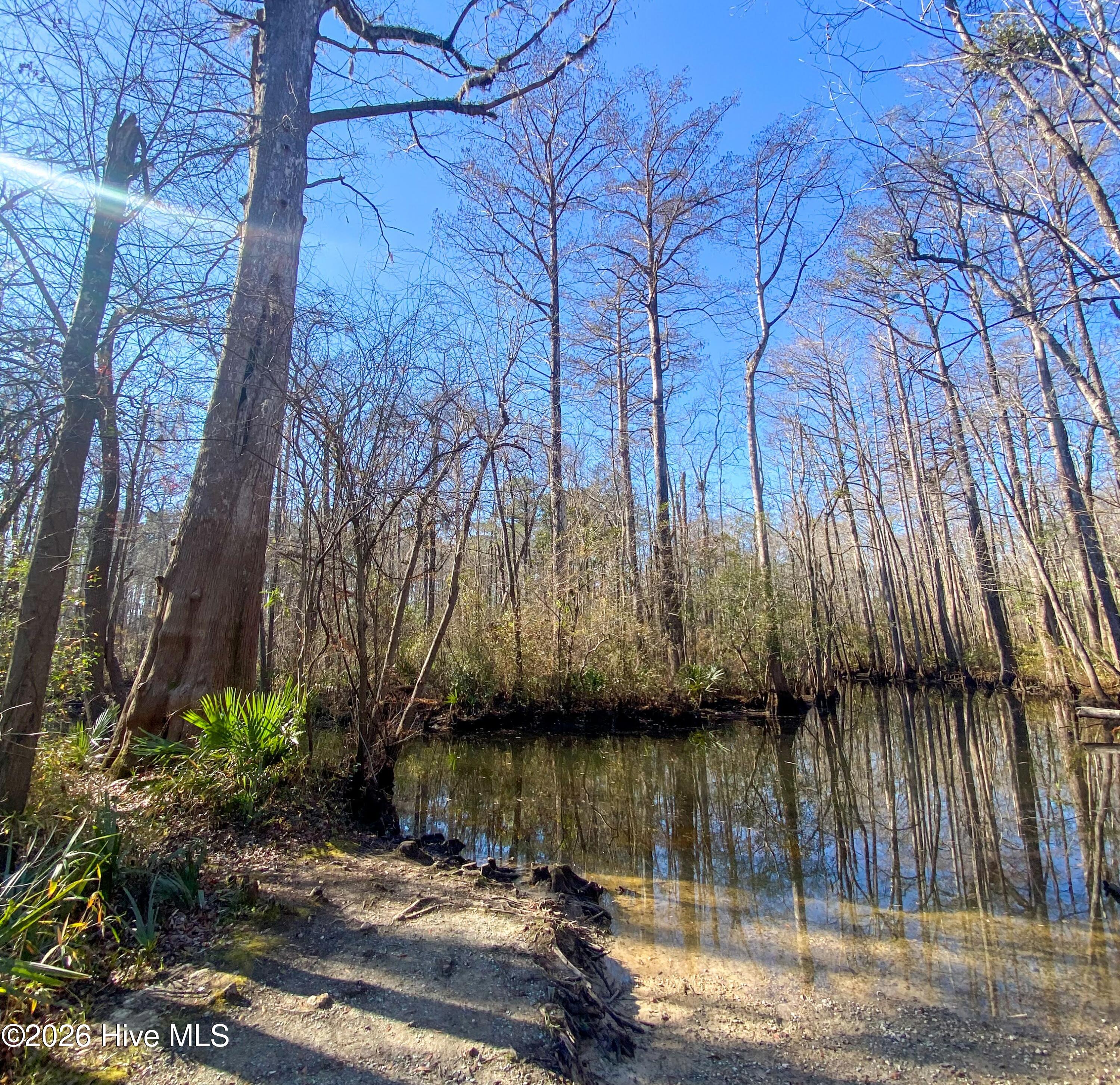 100548342 | Photo 45