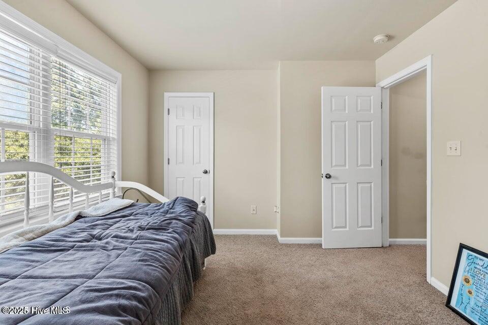 100539312 | Photo 13