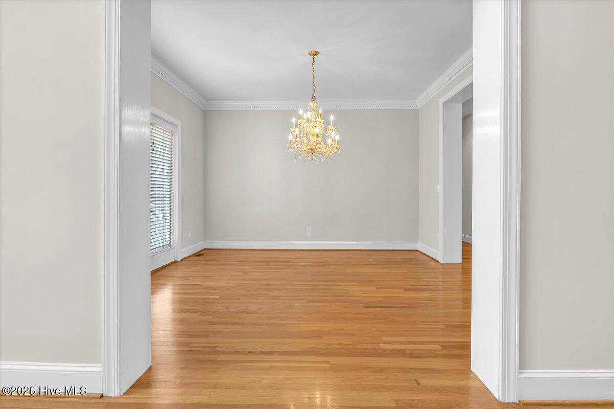 100564445 | Photo 31