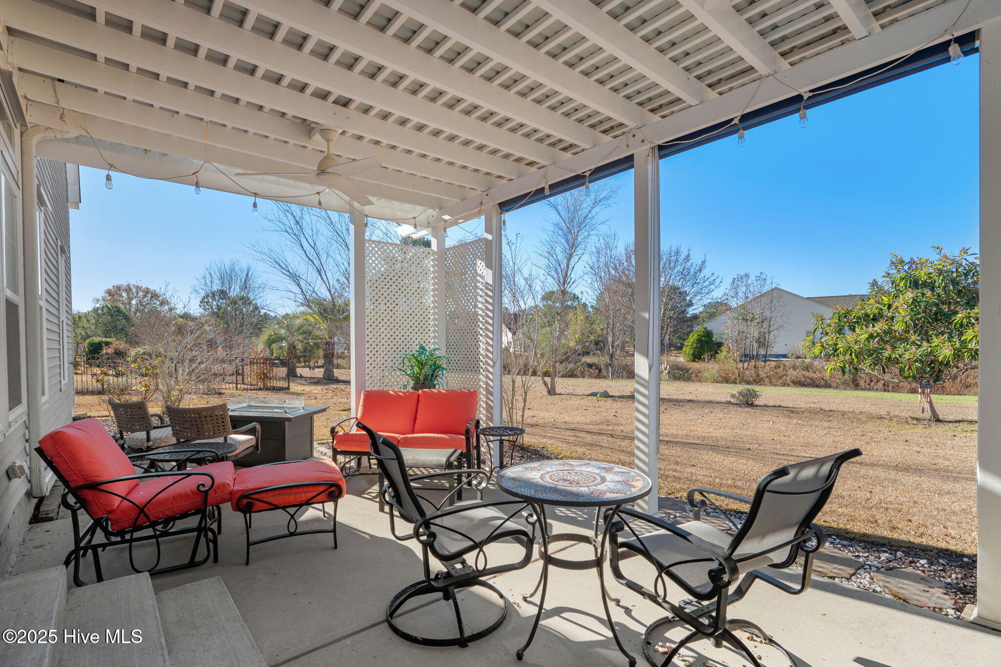 100546321 | Photo 30