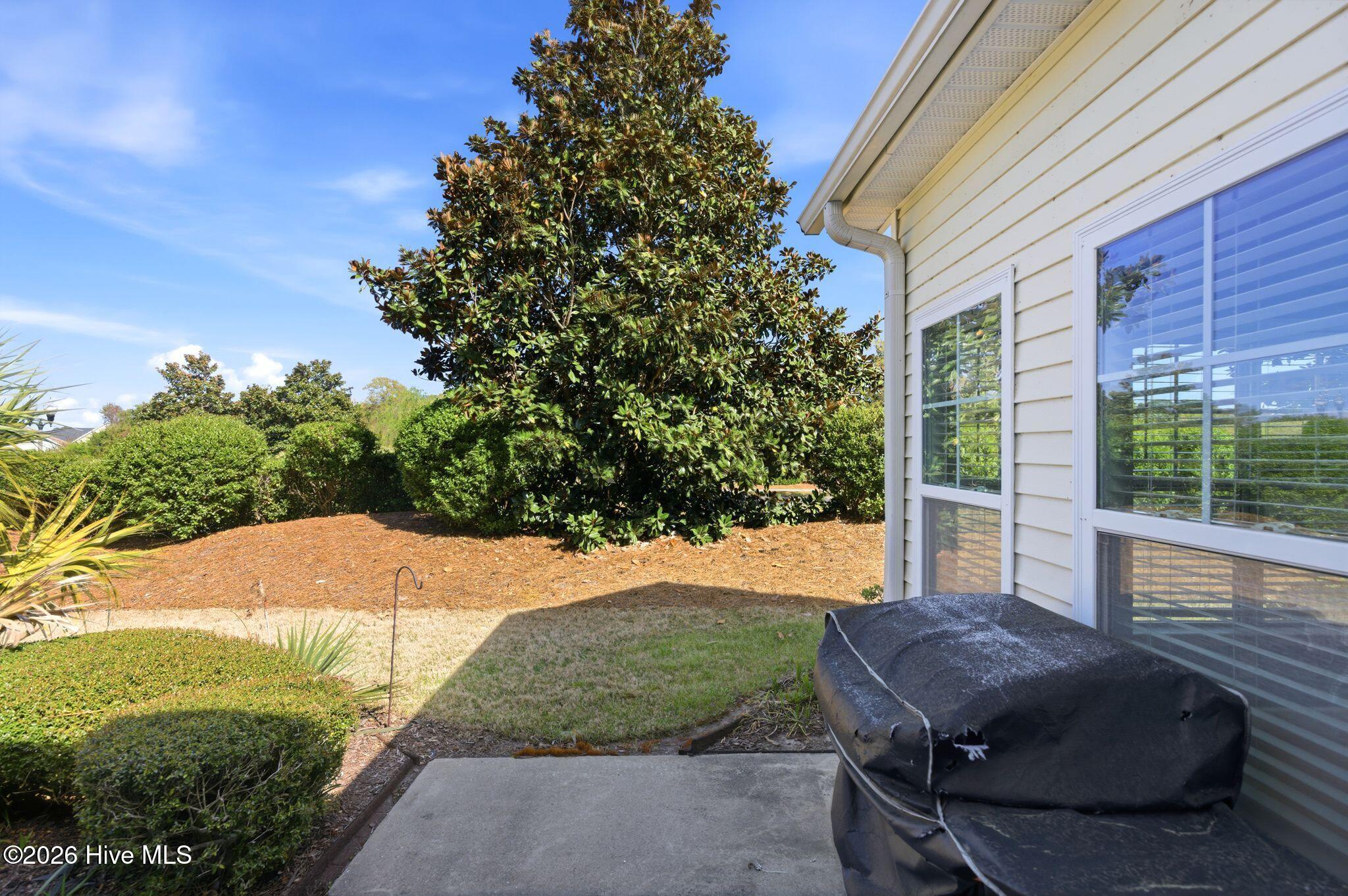 100564398 | Photo 35