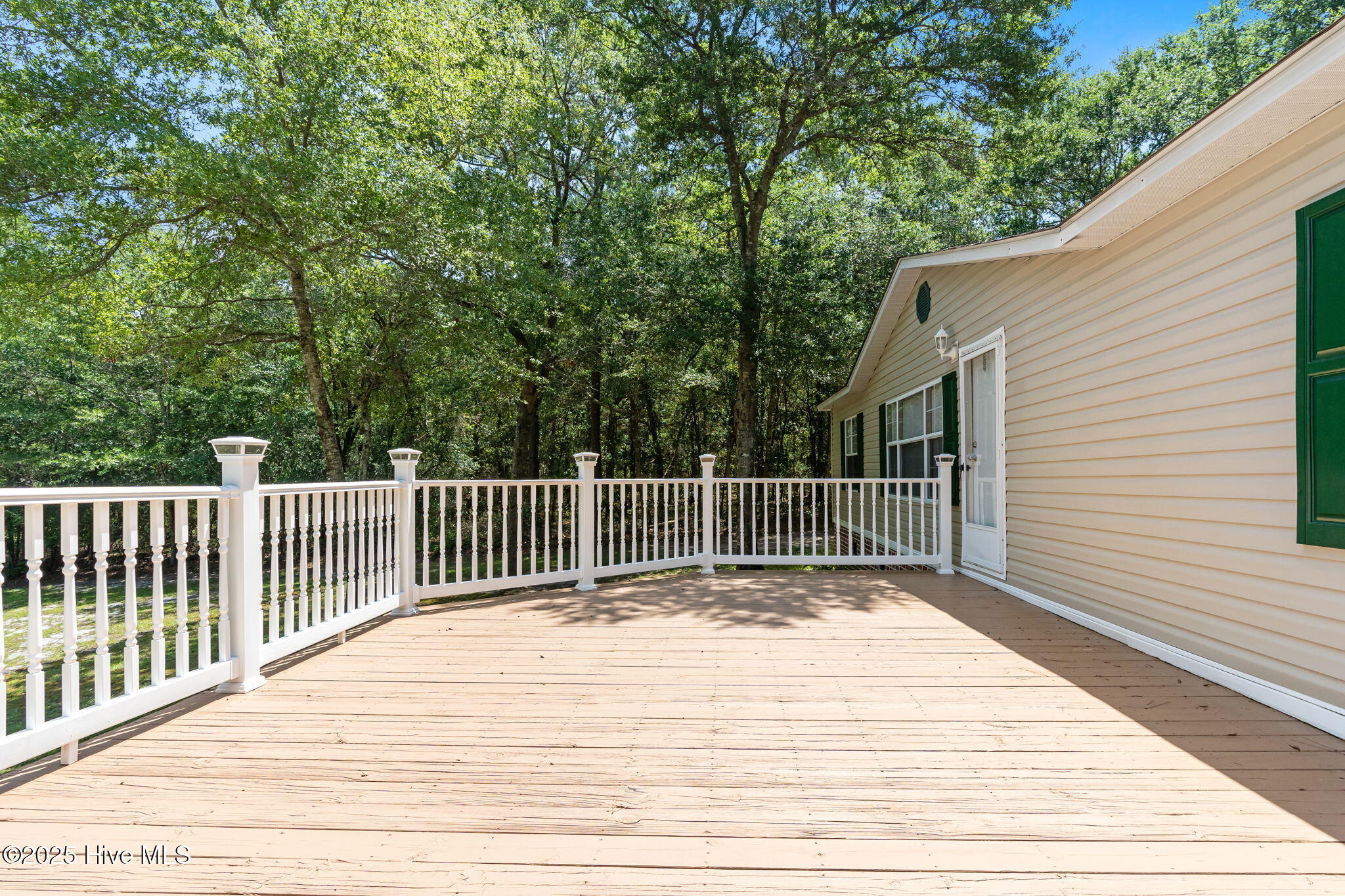 100515279 | Photo 17