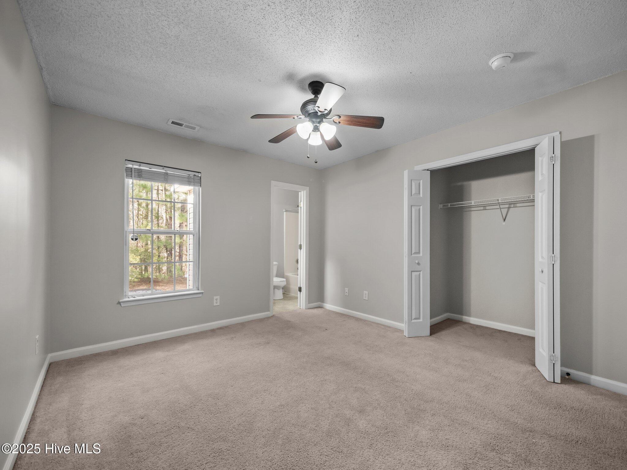 100570696 | Photo 15