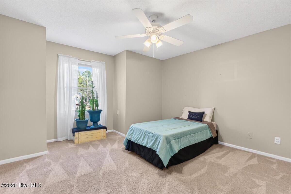 100554267 | Photo 30