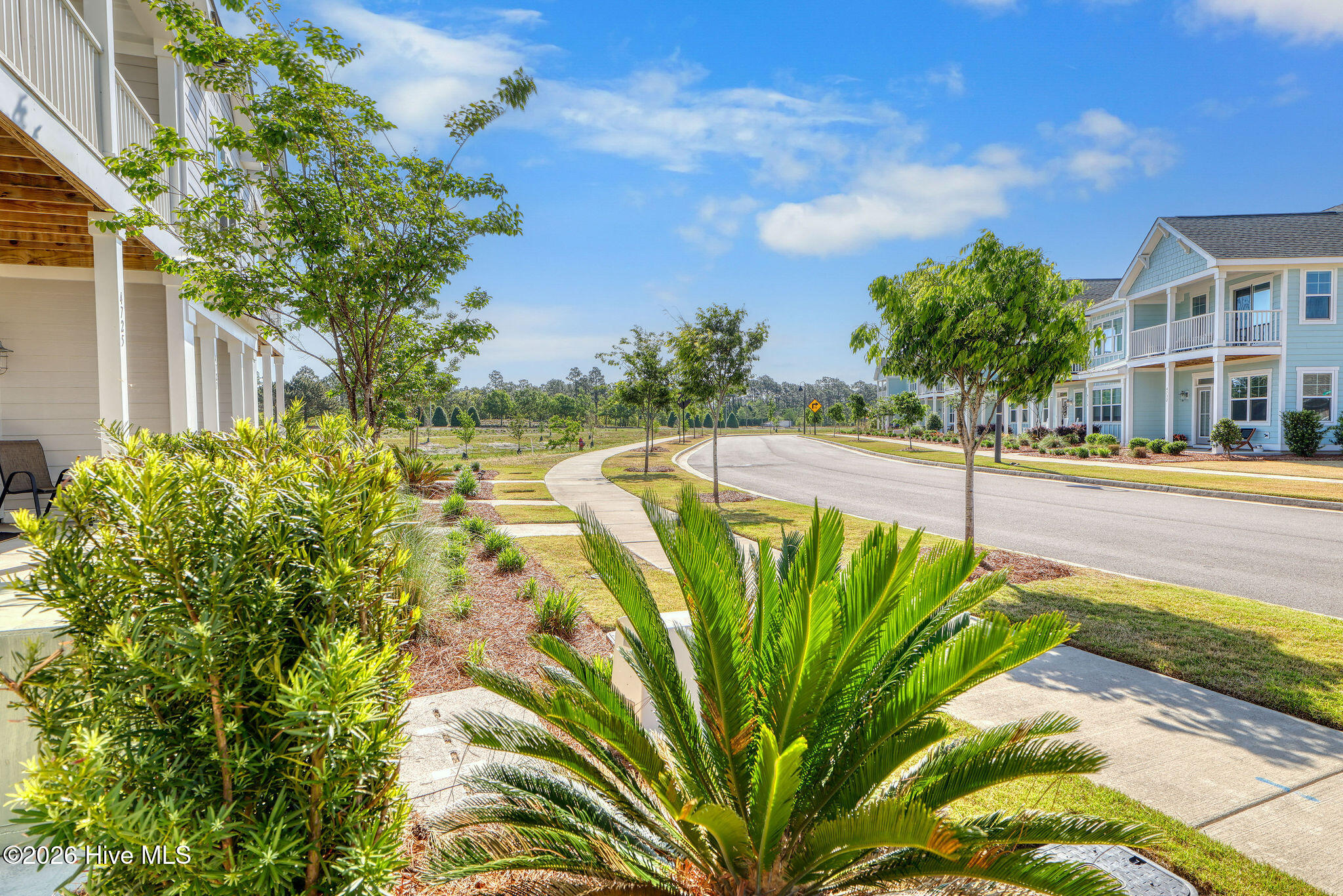 100569127 | Photo 38