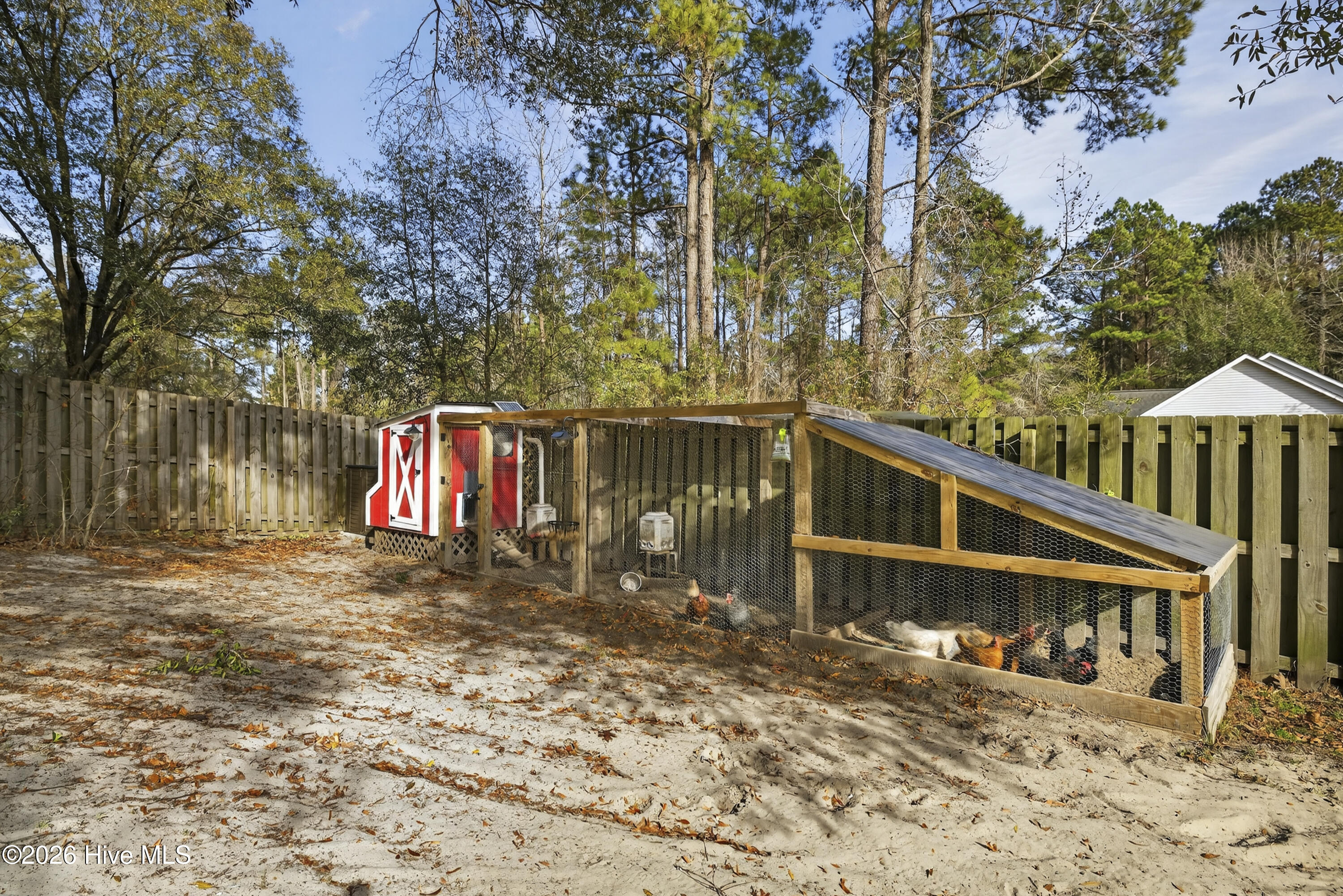 100549081 | Photo 37