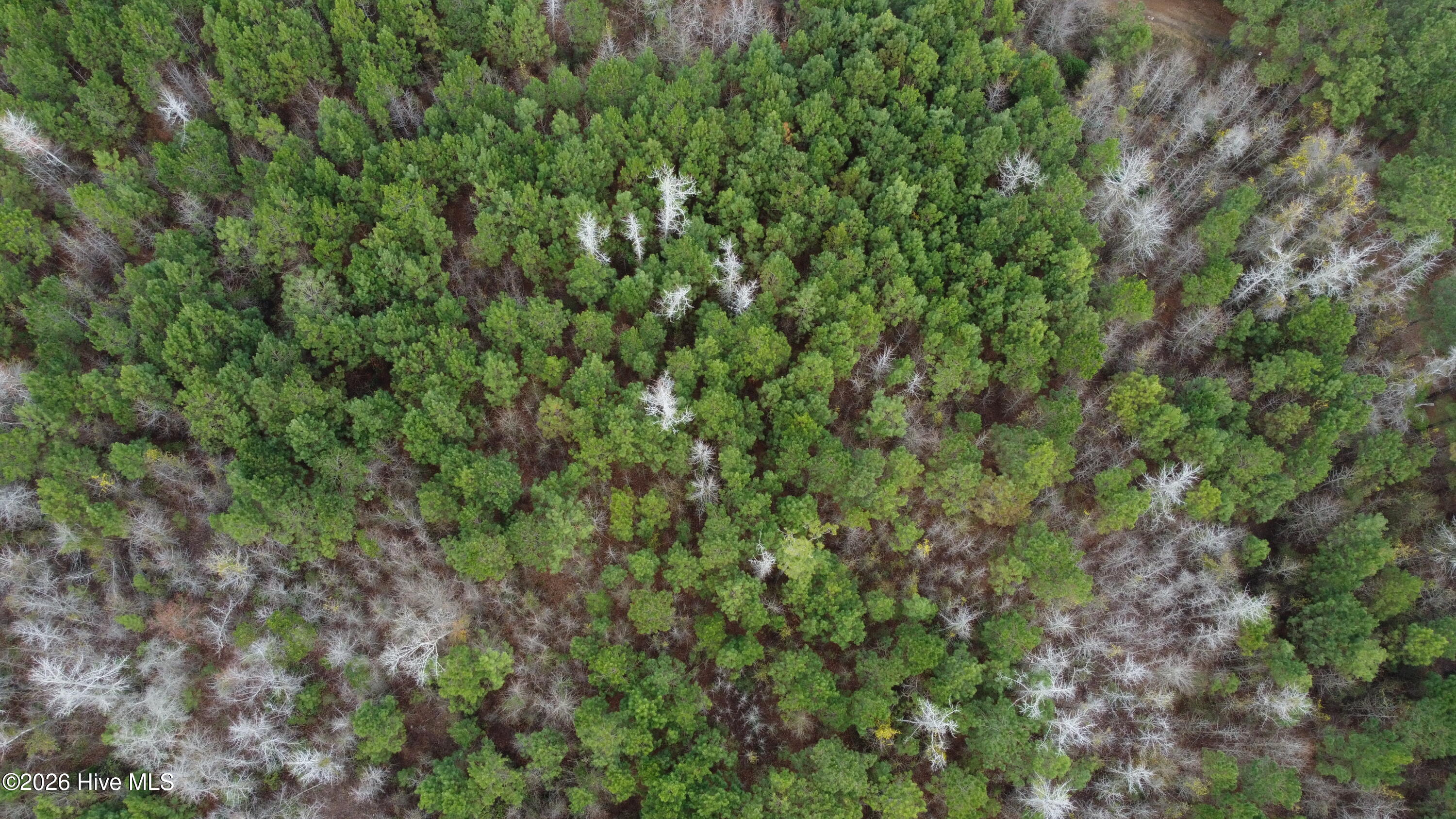 Homes for sale in Bolton, NC | 19115 Andrew Jackson Hwy Sw, Bolton, NC 28423 | MLS# 100558943