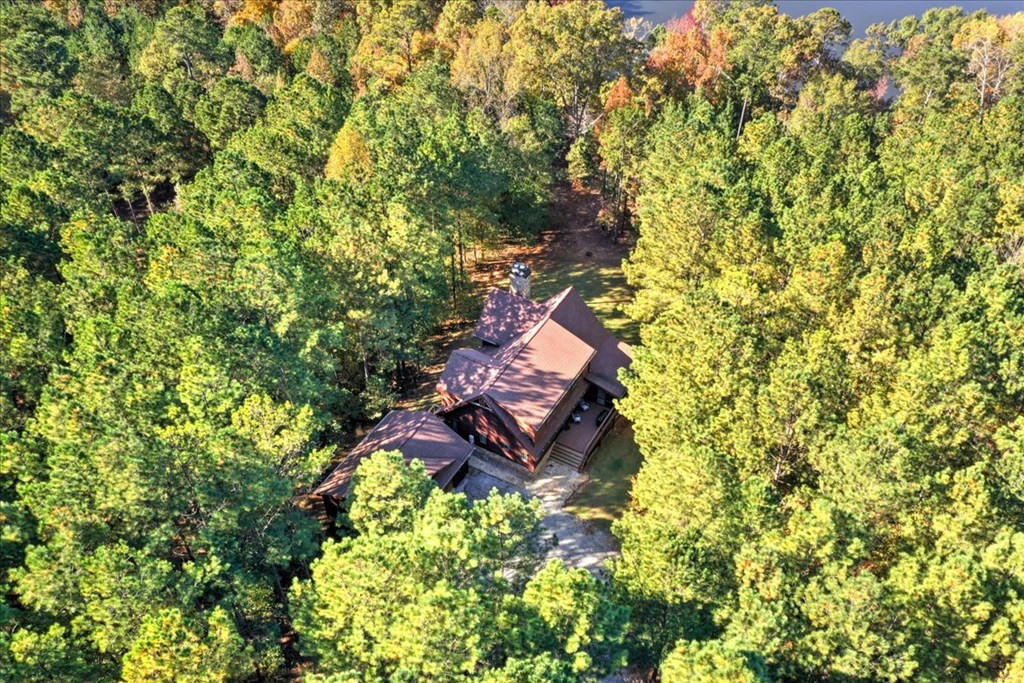 1147 Maiden Cane Way, Lincolnton, GA 30817 Listing Photo  3