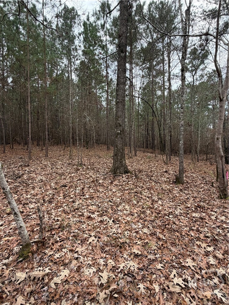 Homes for sale in Greensboro, GA | 1700 Northwoods Dr, Greensboro, GA 30642 | MLS# CL350245