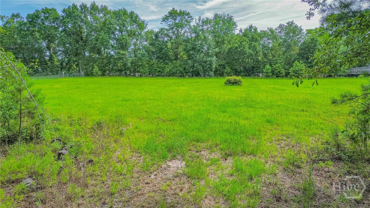 Homes for sale in Springfield, GA | 0 Springfield Egypt Rd, Springfield, GA 31329 | MLS# SA343058