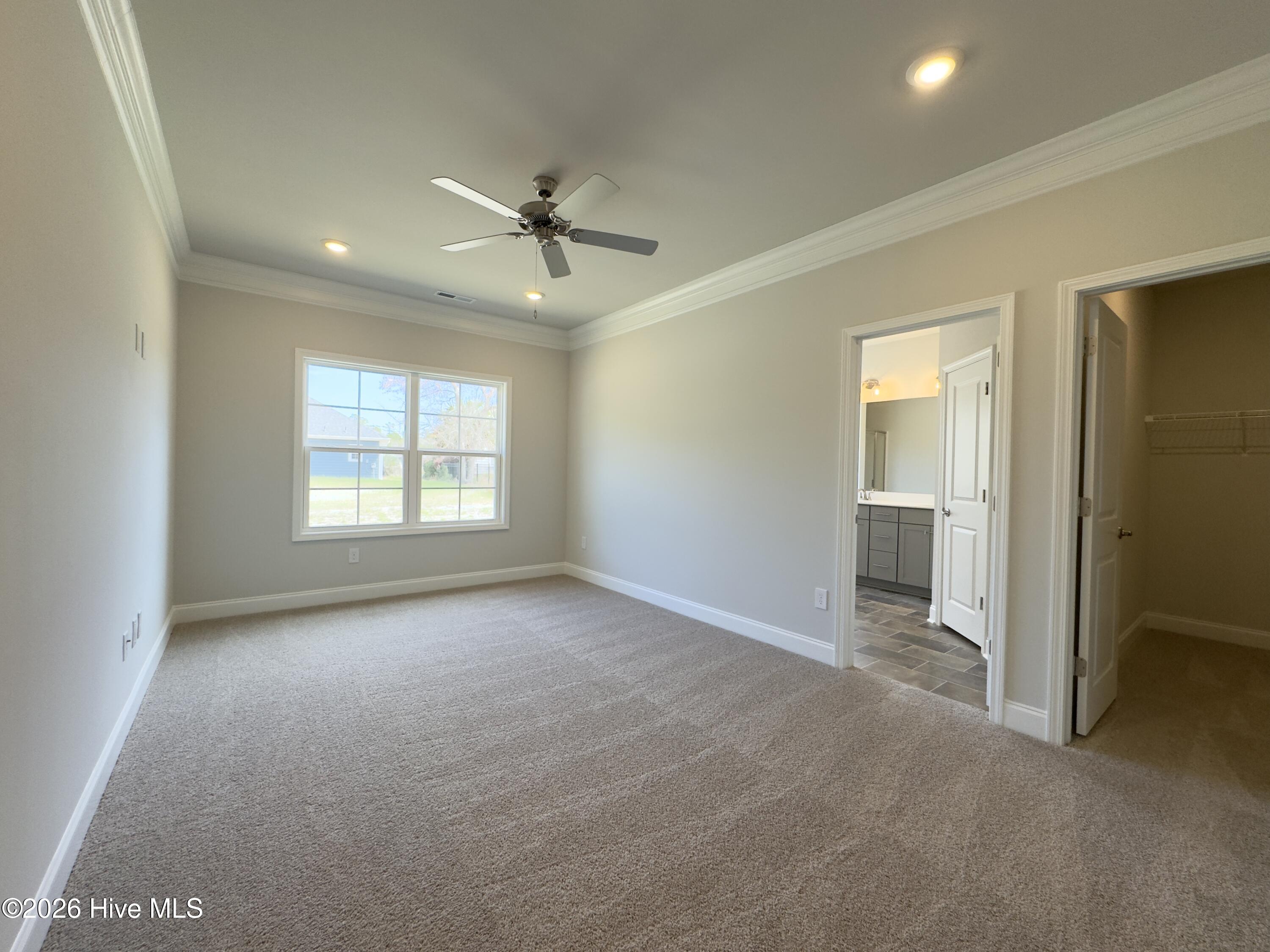 100563341 | Photo 12