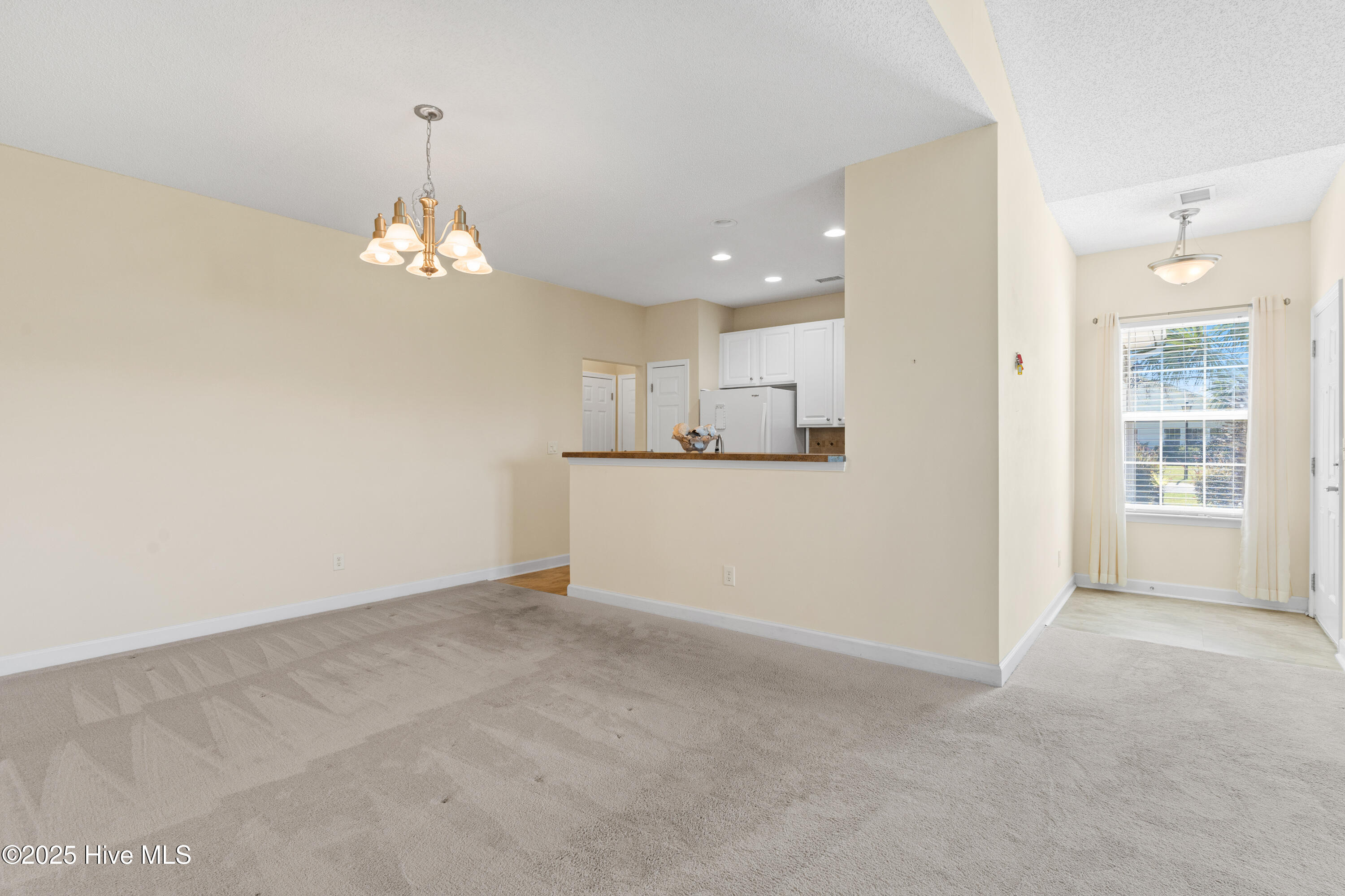 100529501 | Photo 10