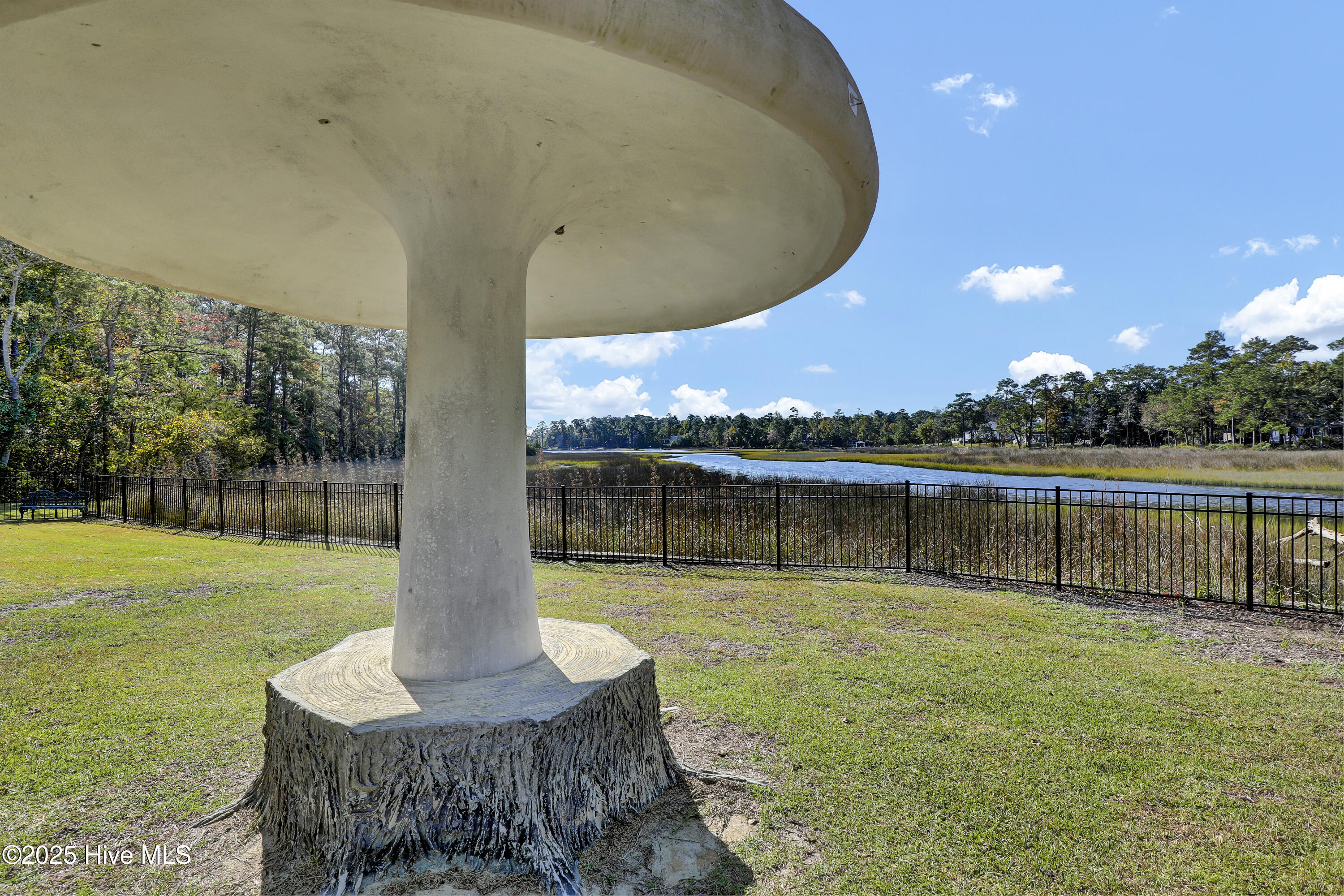 100537816 | Photo 37