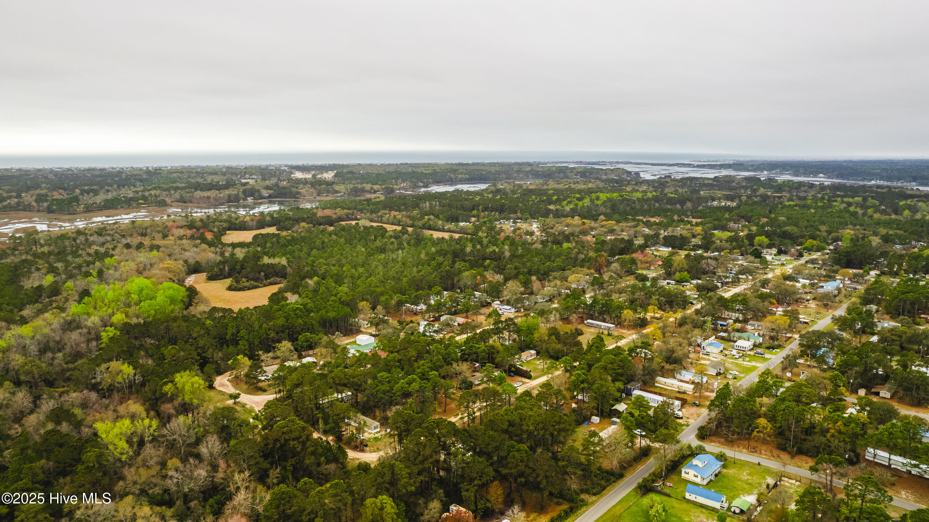 100543288 | Photo 53