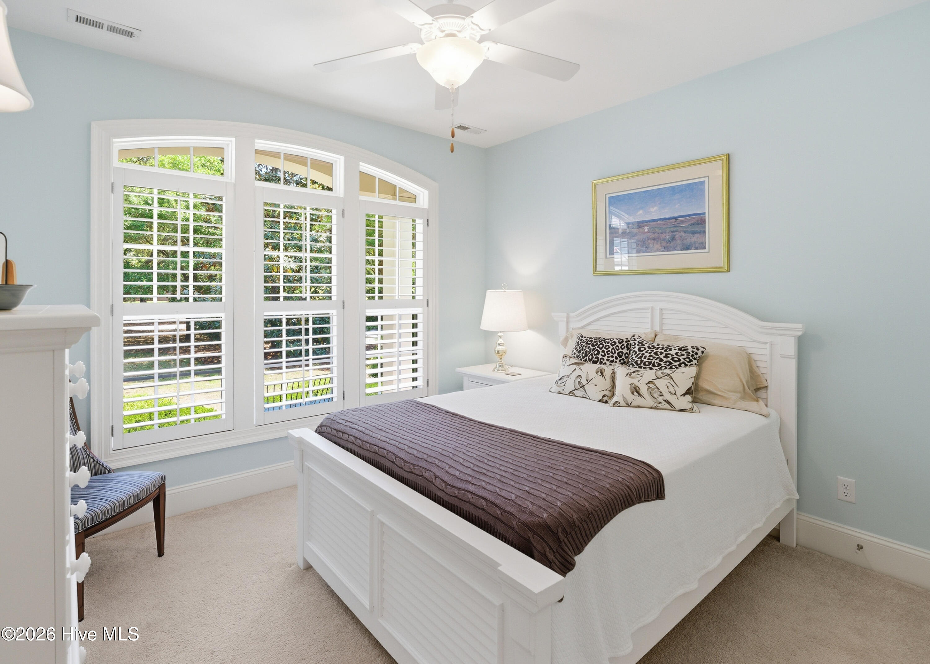 100569454 | Photo 13