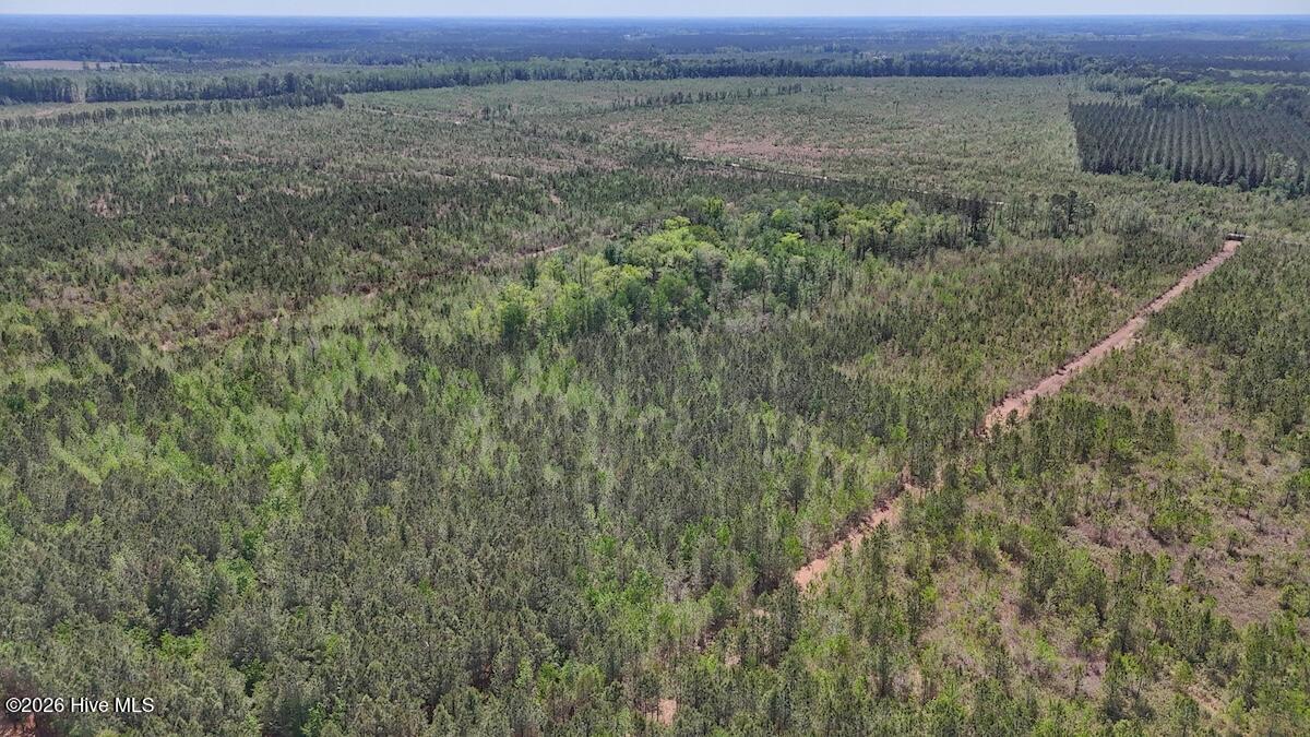 0 Guinea Mill Road, Ernul, NC, 28527