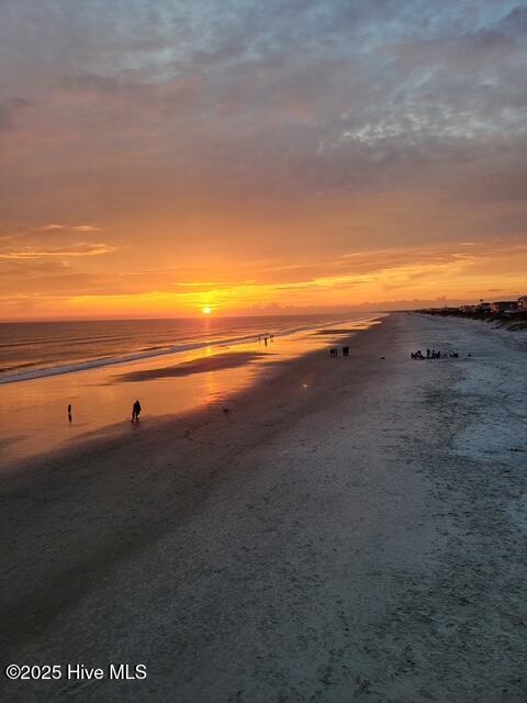 100557908 | Photo 21