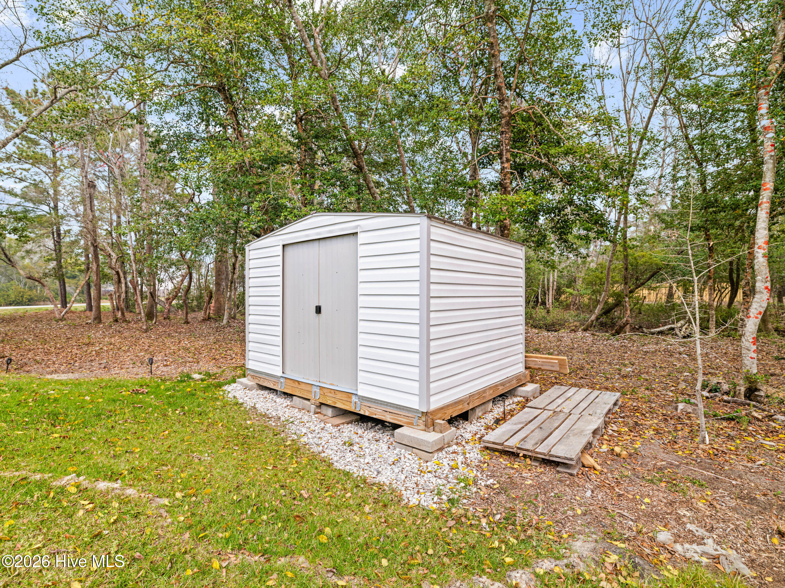 100562938 | Photo 45