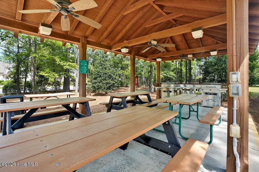 100548095 | Photo 95