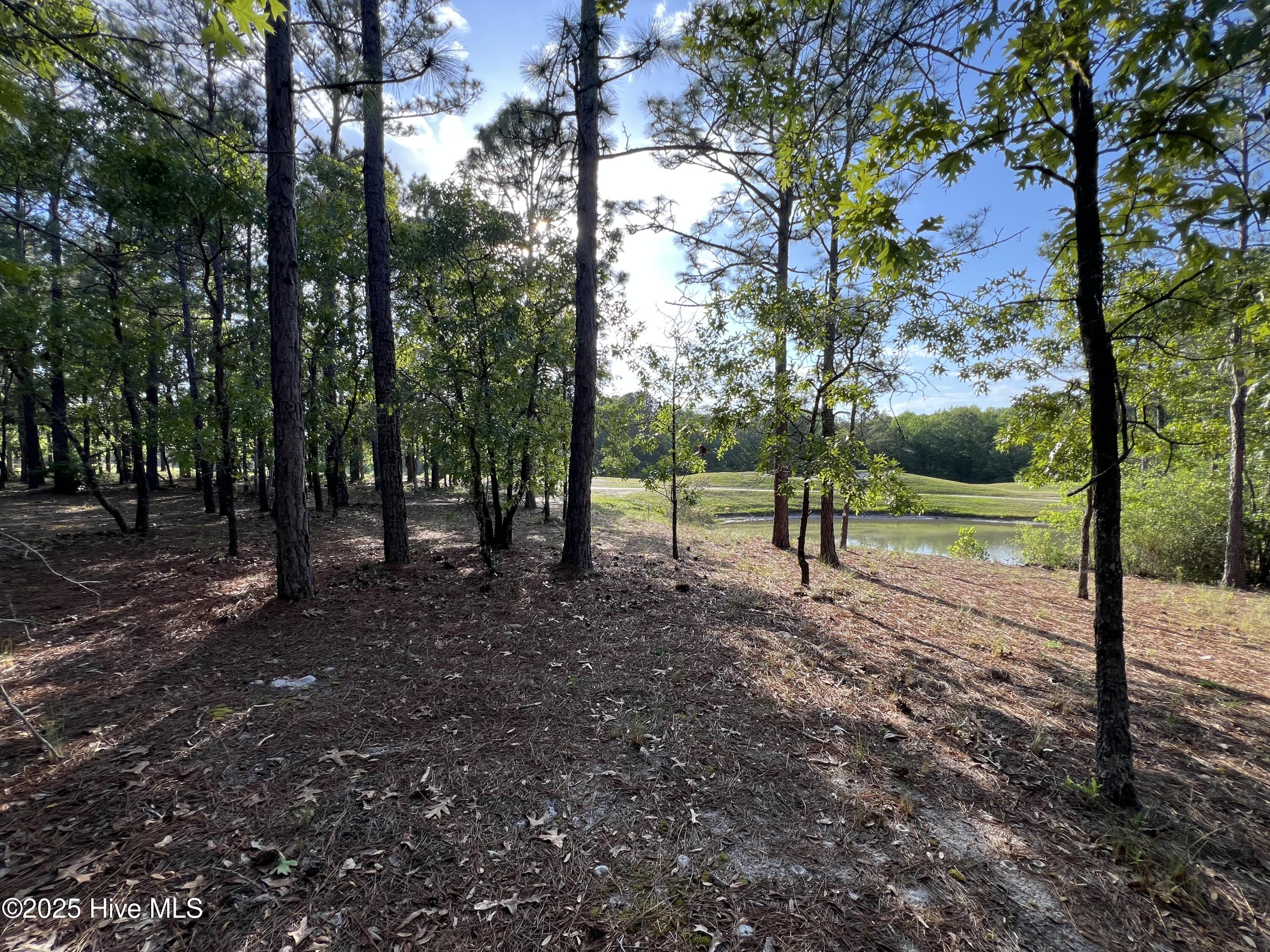 100506027 | Photo 30