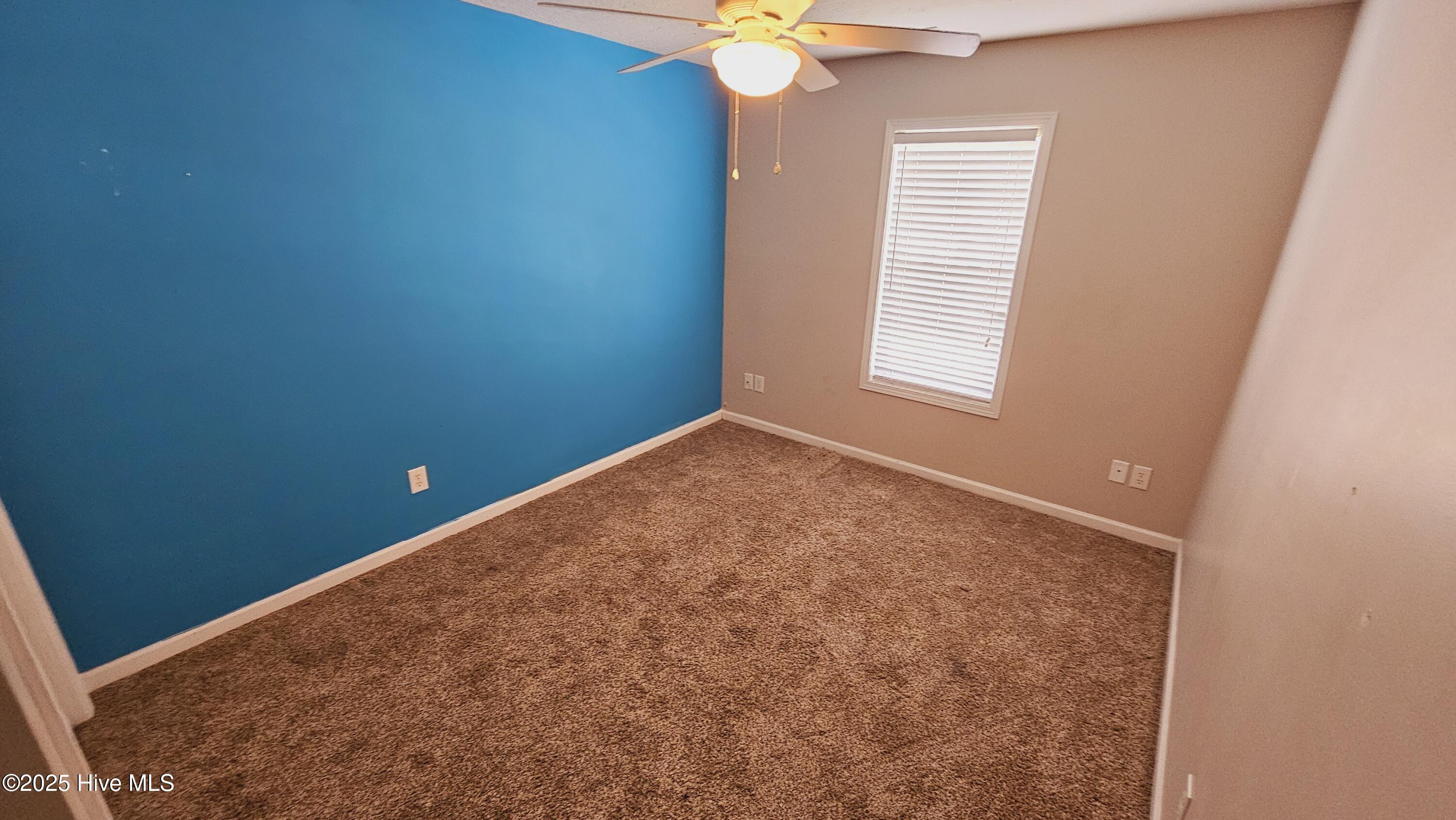 100565792 | Photo 24