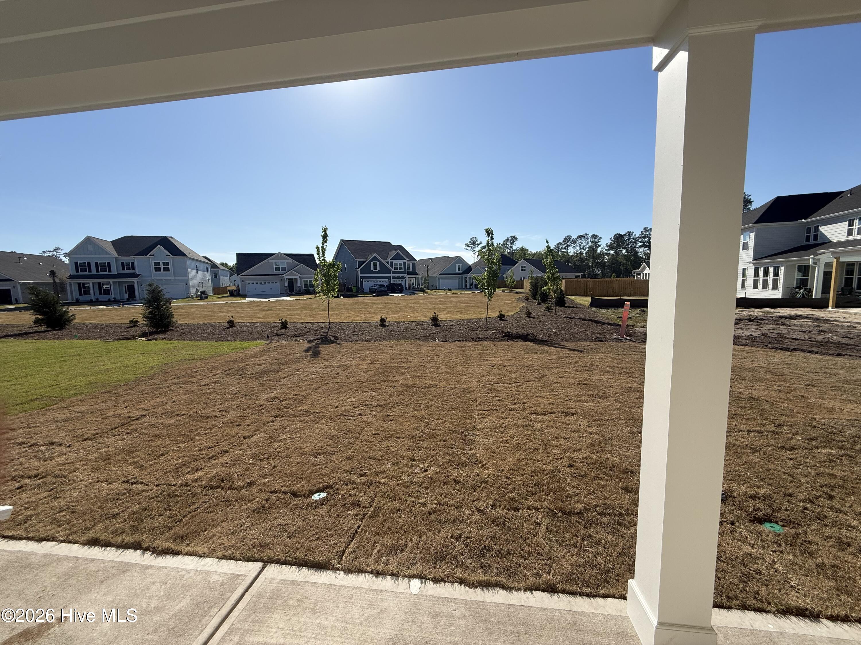 100551506 | Photo 11