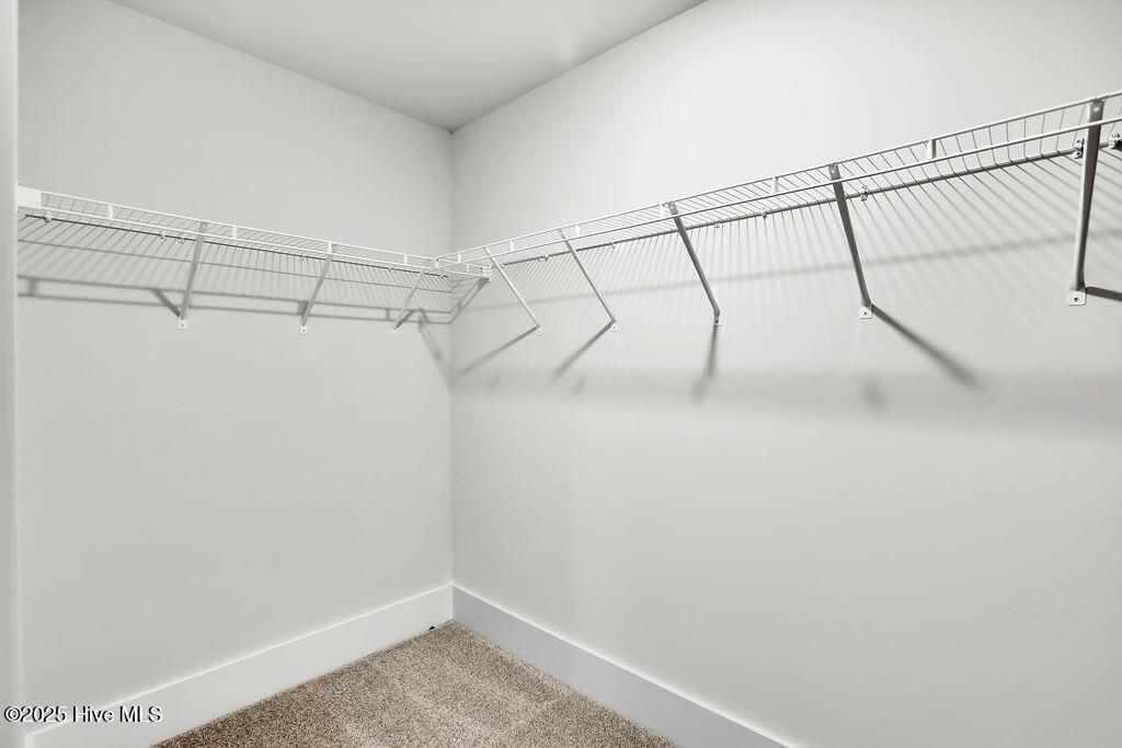 100562497 | Photo 25