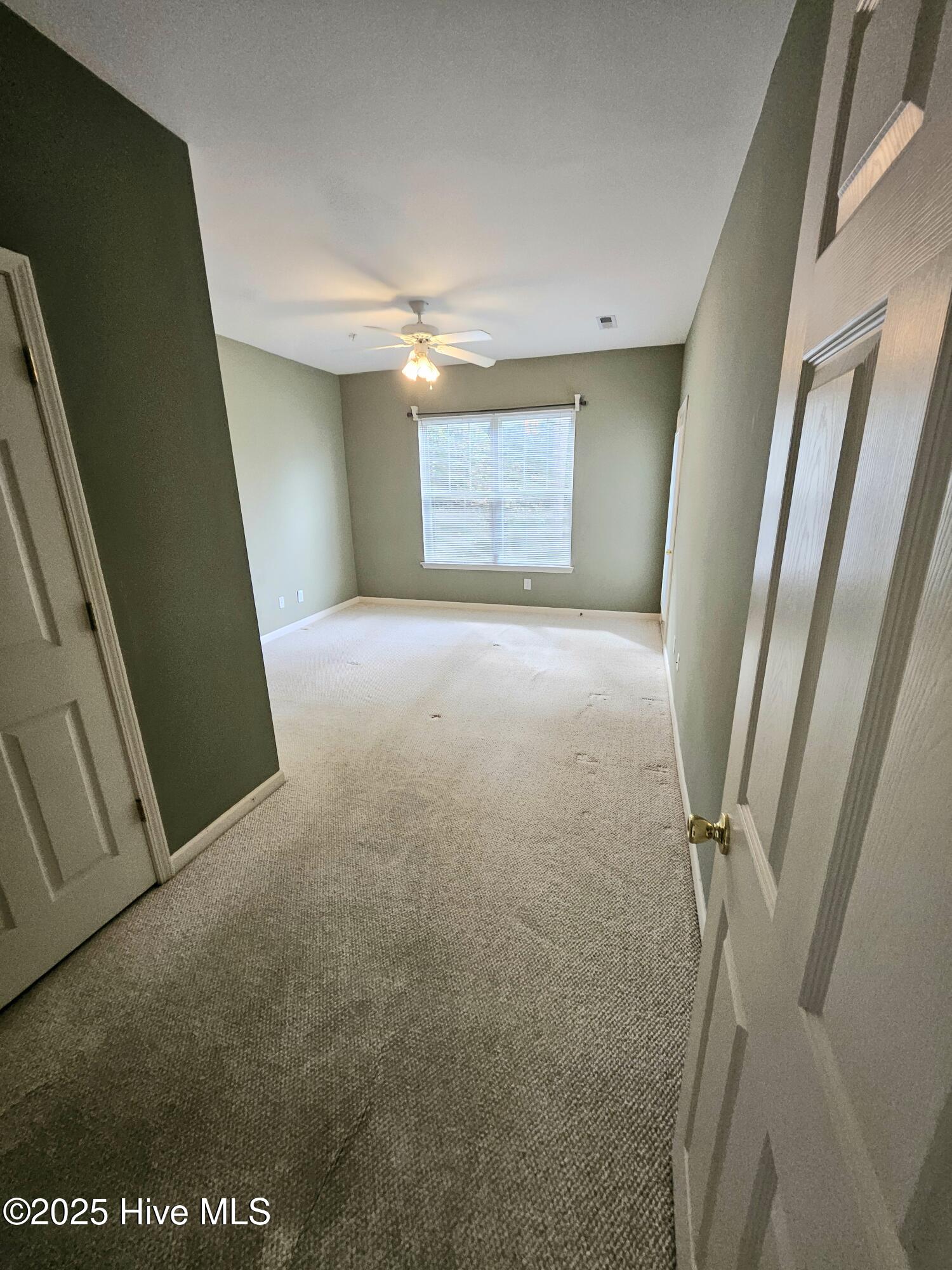 100536012 | Photo 13