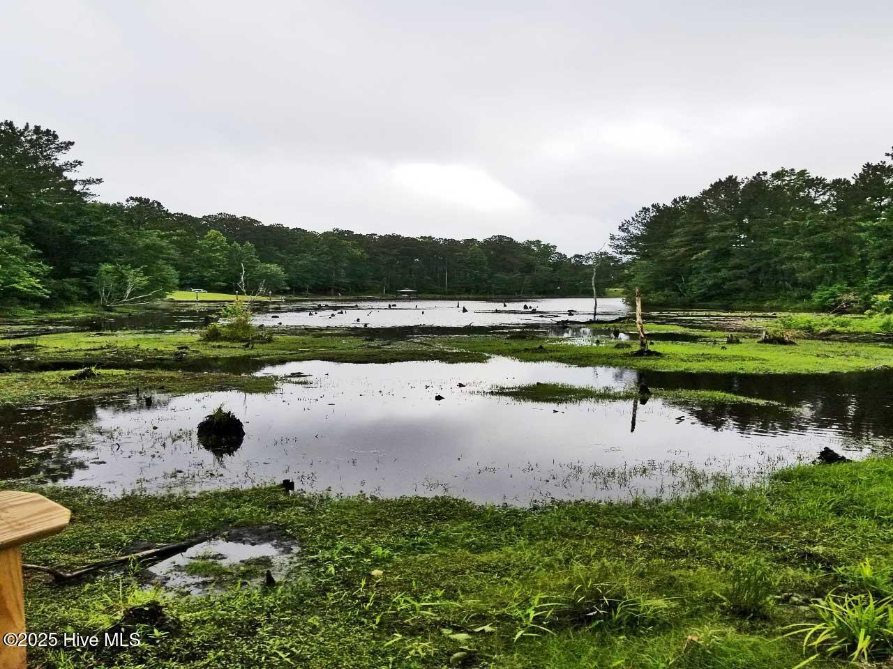 100515250 | Photo 43