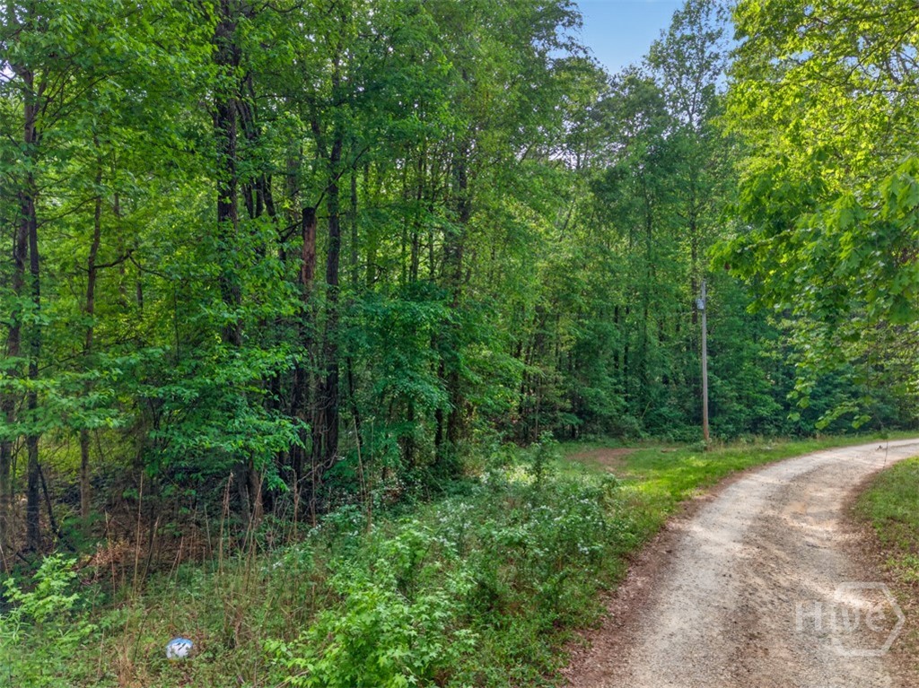 0 Dogwood Court, Toccoa, GA, 30577