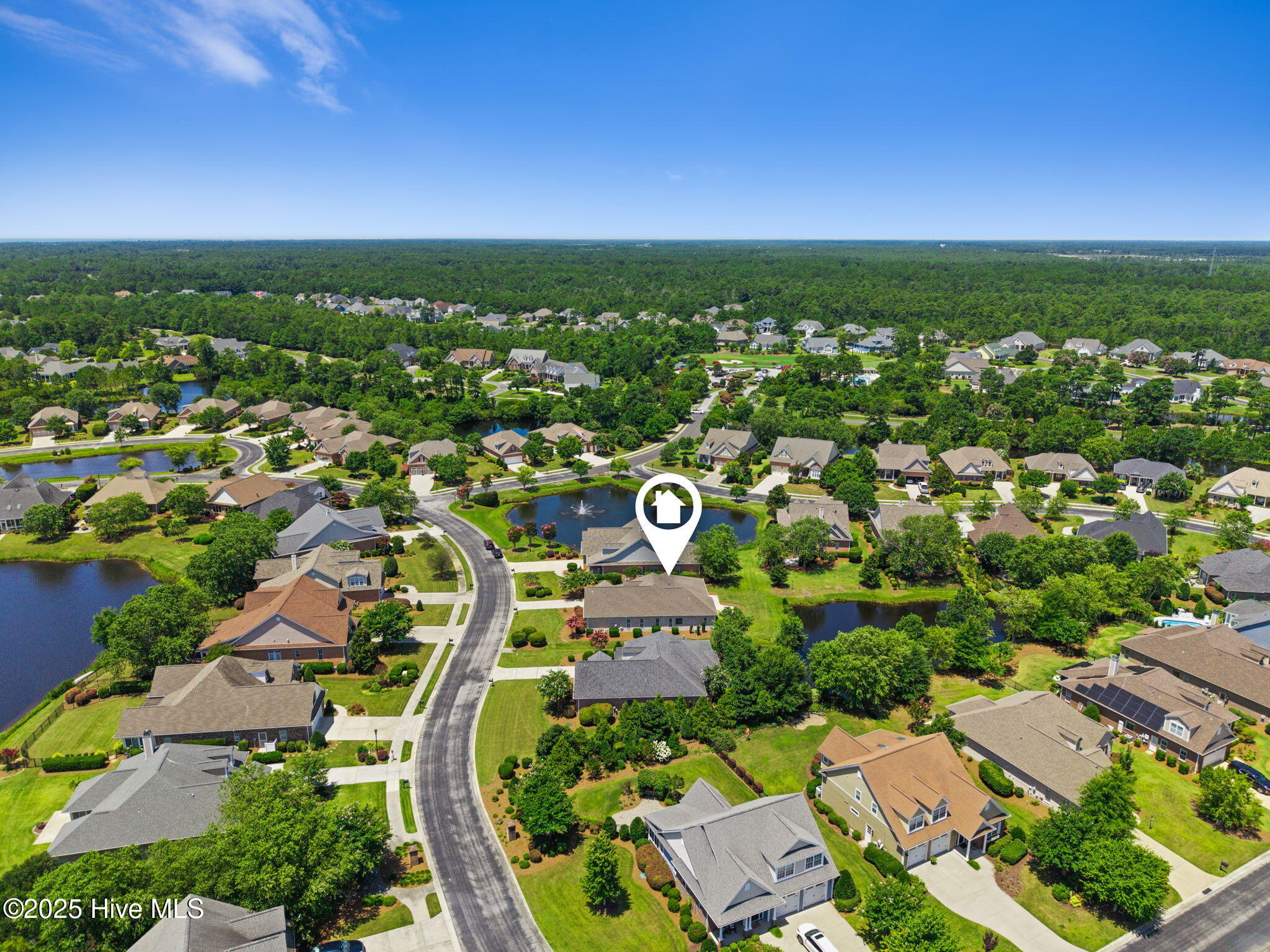 100519304 | Photo 41