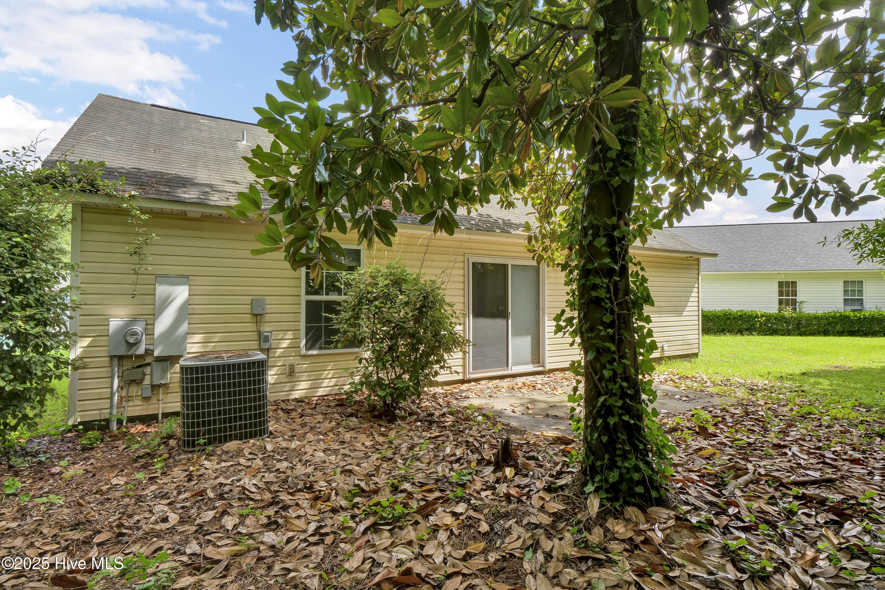 100517859 | Photo 29