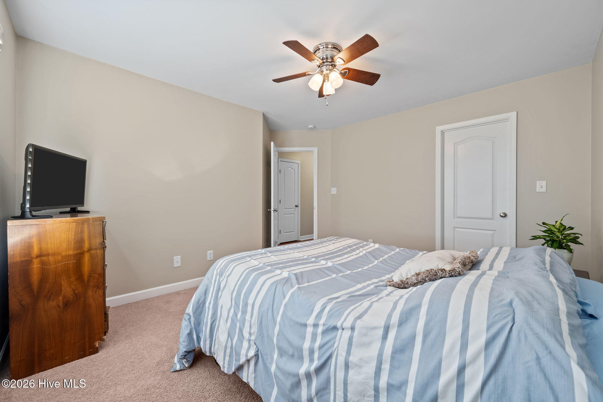 100568567 | Photo 30