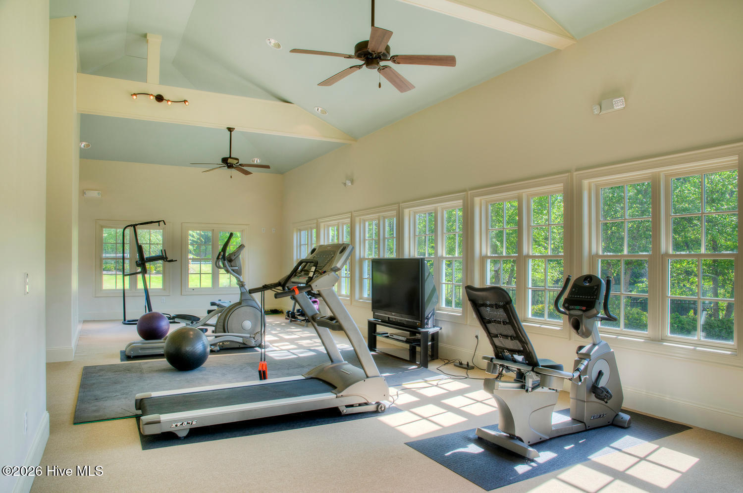 100549378 | Photo 24