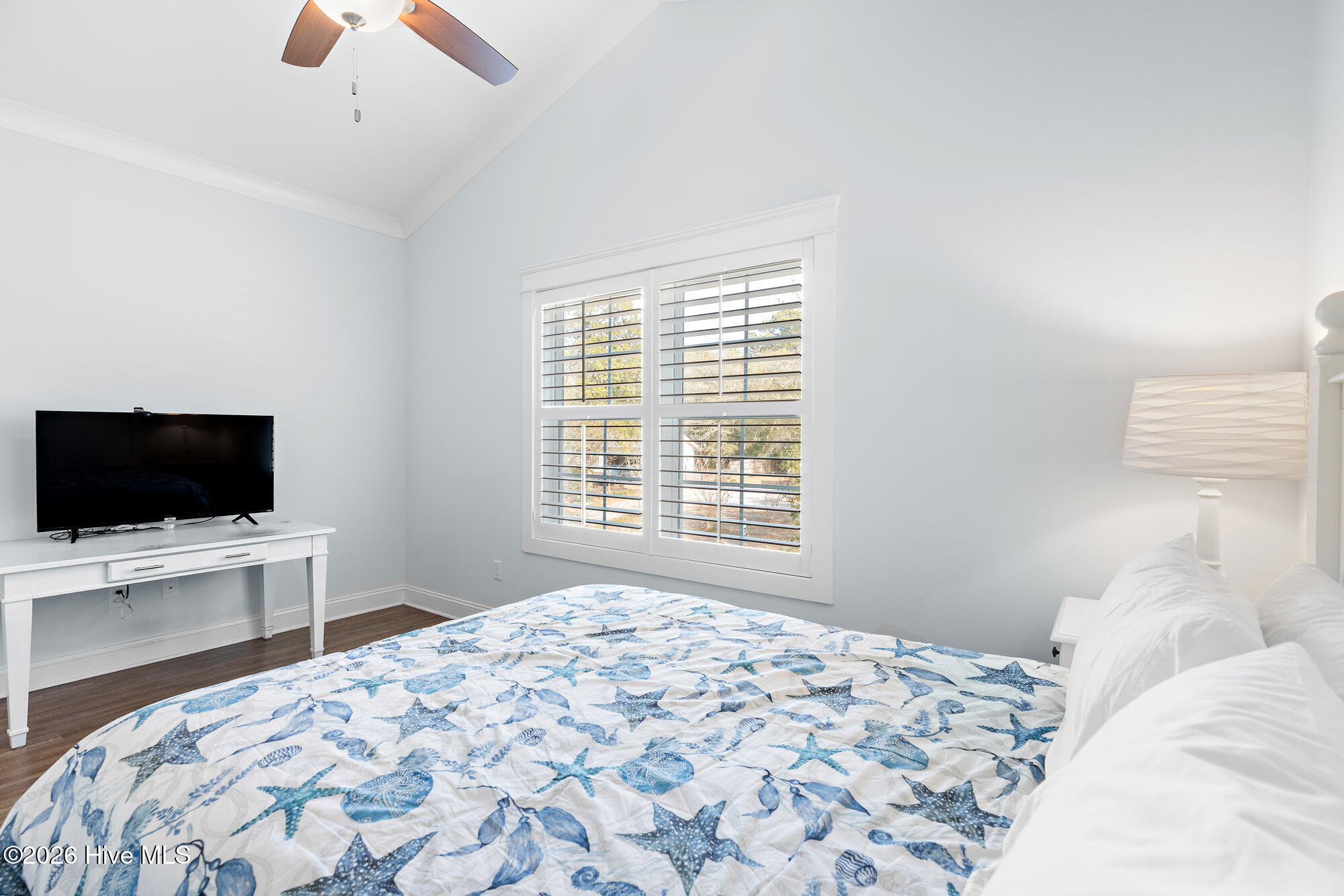 100568676 | Photo 21