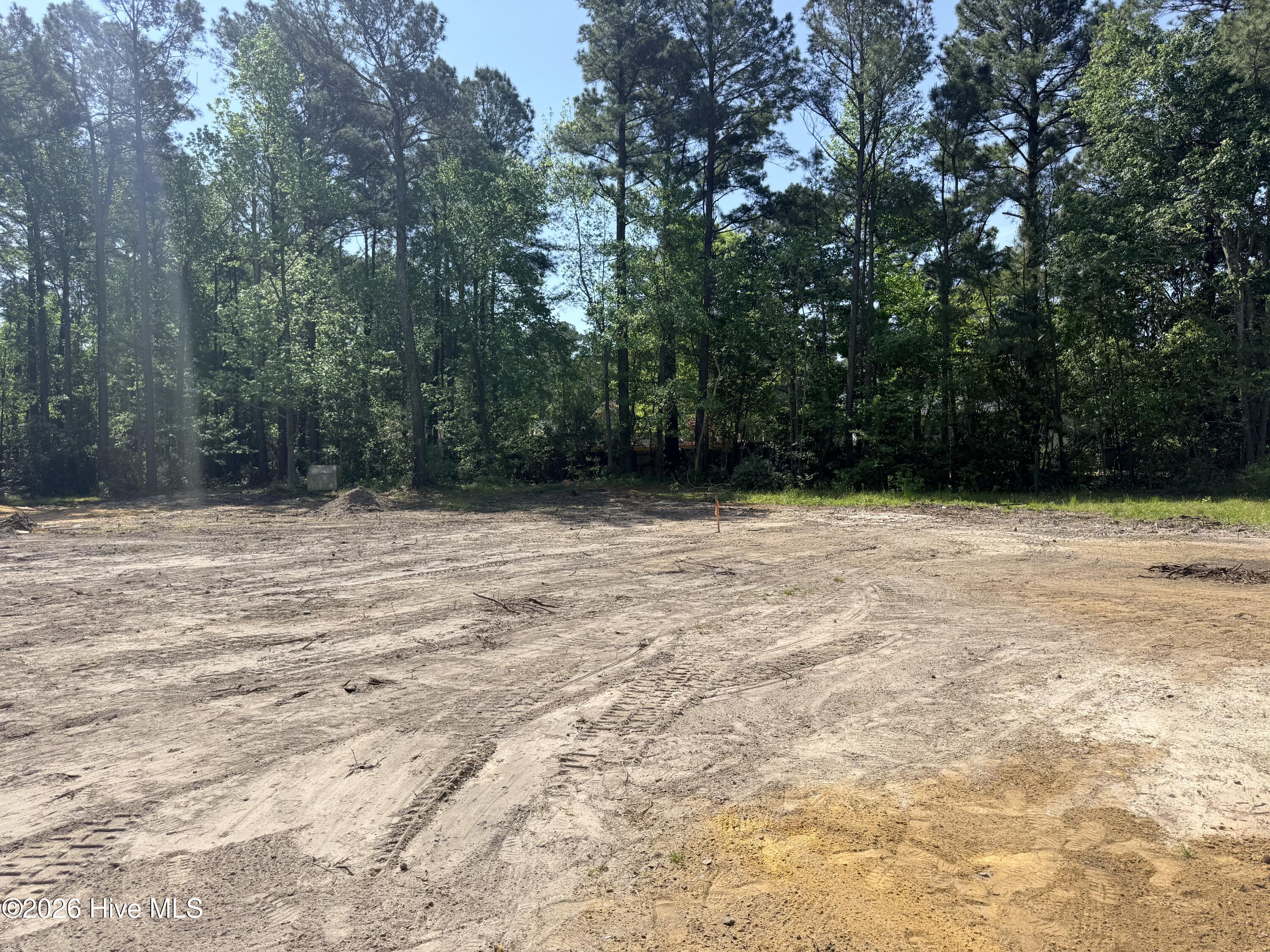 100564210 | Photo 28