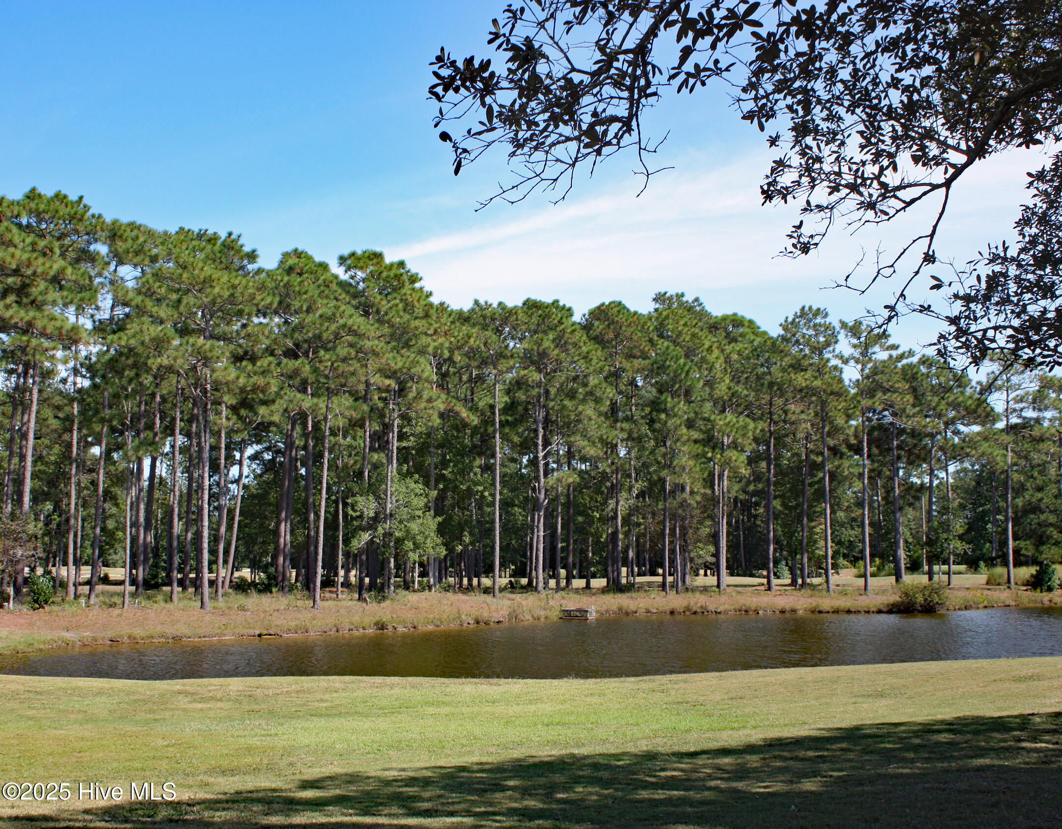 Tiger's Eye Pond View