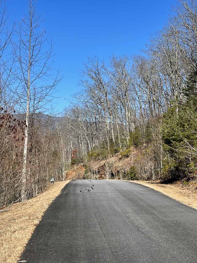 Exterior photo of Lot 29J Ash Branch Rd, Hayesville, NC 28904. MLS: 98543999