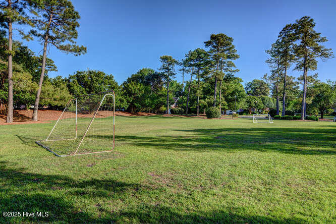 100545737 | Photo 90