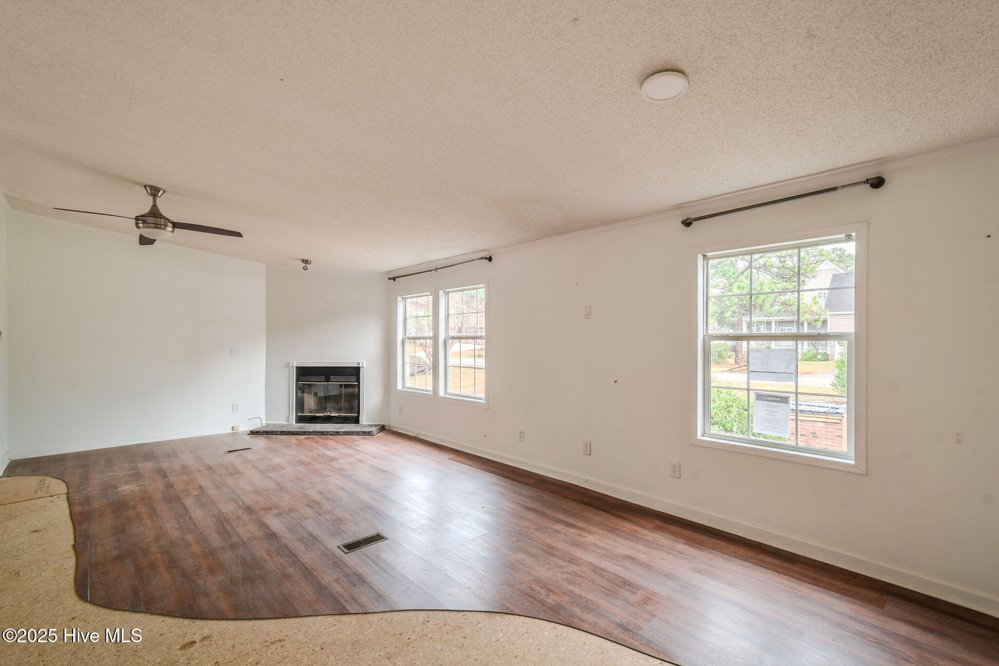 100545513 | Photo 10