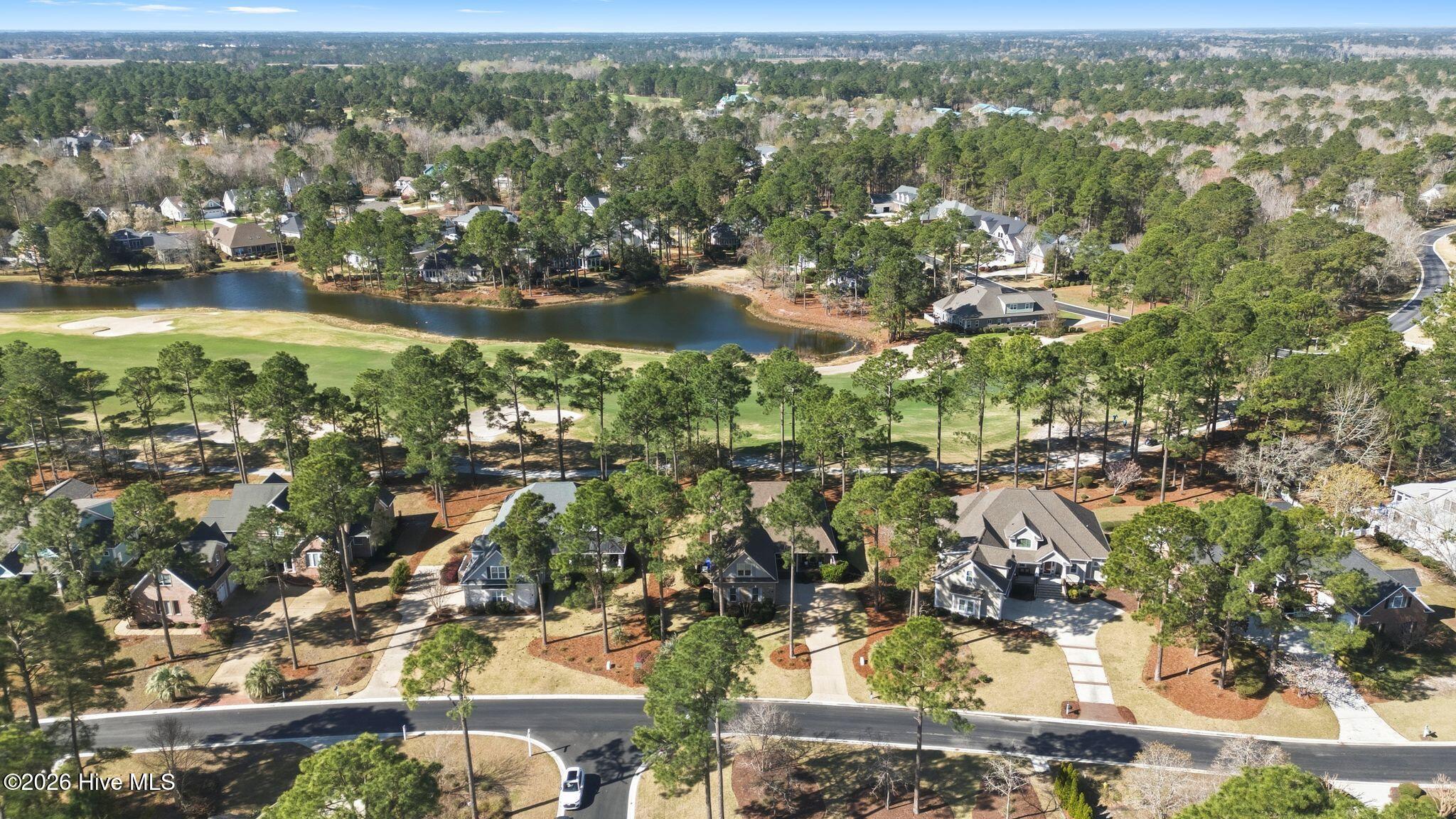 100564432 | Photo 96