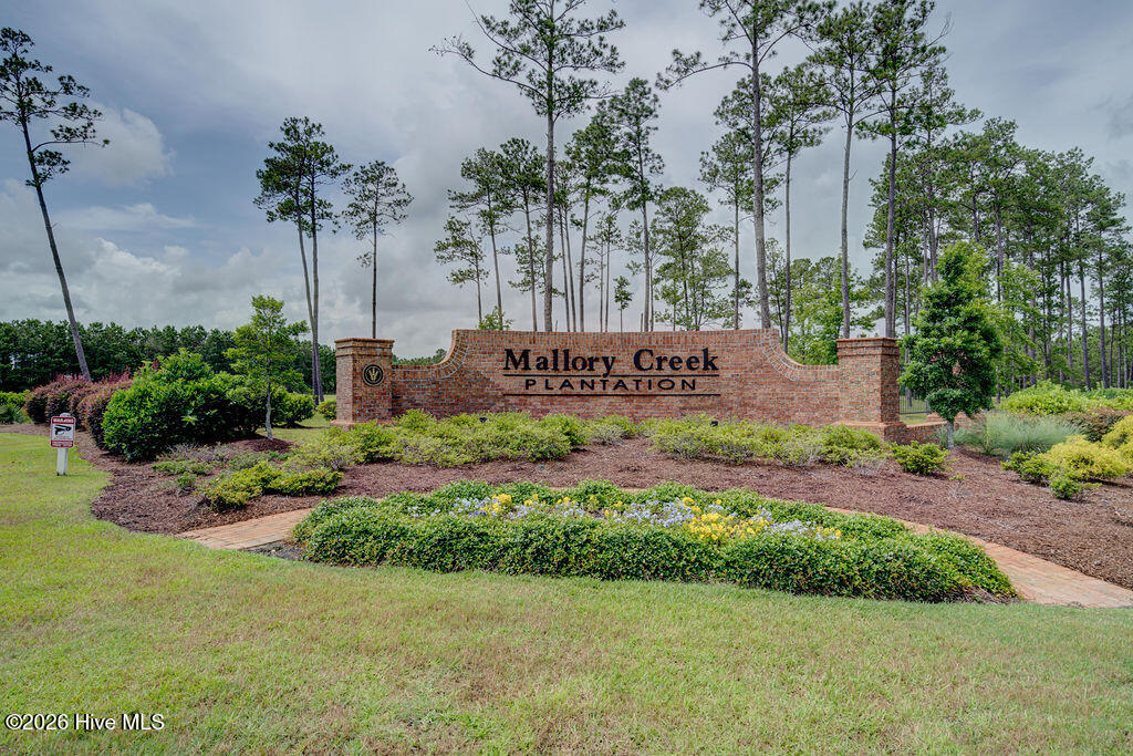 100558265 | Photo 65