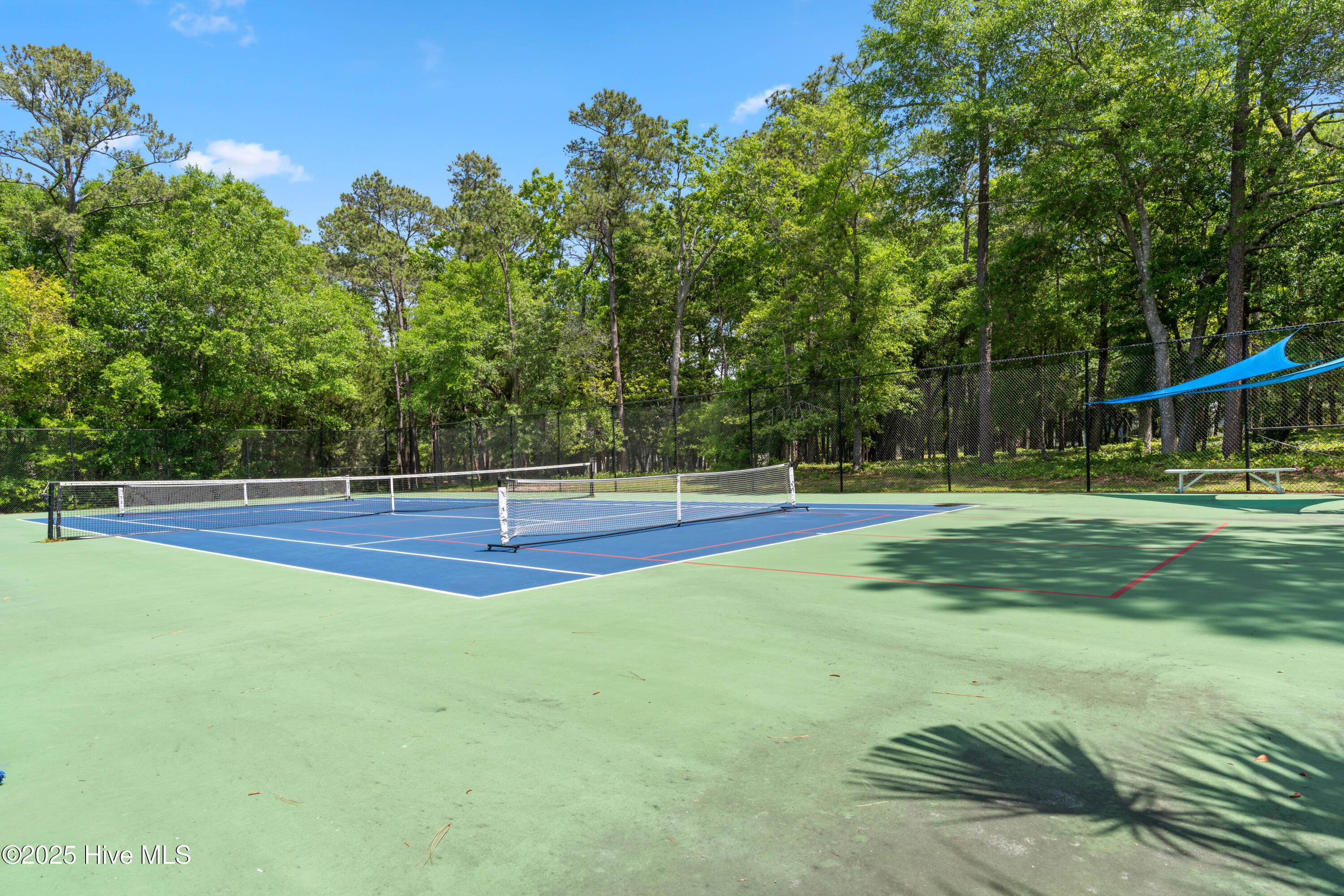 100570378 | Photo 85