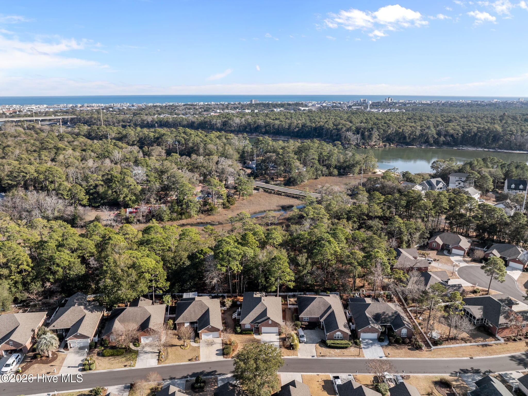 100552343 | Photo 46